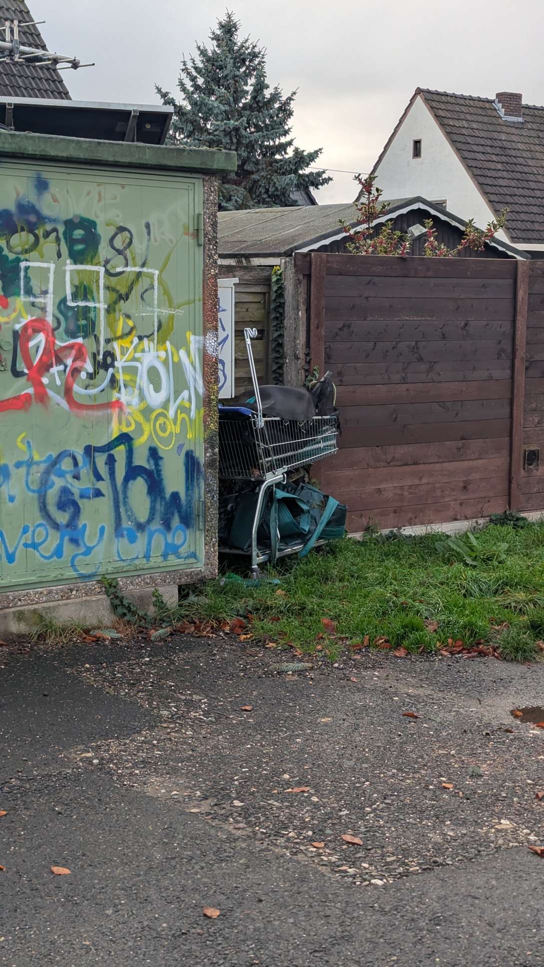 Bild zu gemeldetem Anliegen vom *2025-11-17 14:43:12