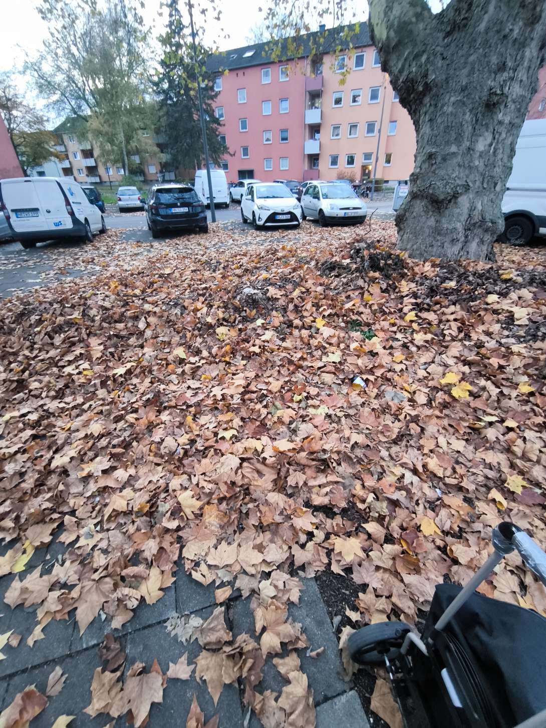 Bild zu gemeldetem Anliegen vom *2025-11-13 16:34:35