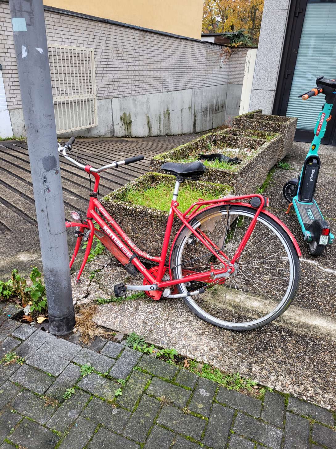 Bild zu gemeldetem Anliegen vom *2025-11-16 15:58:56