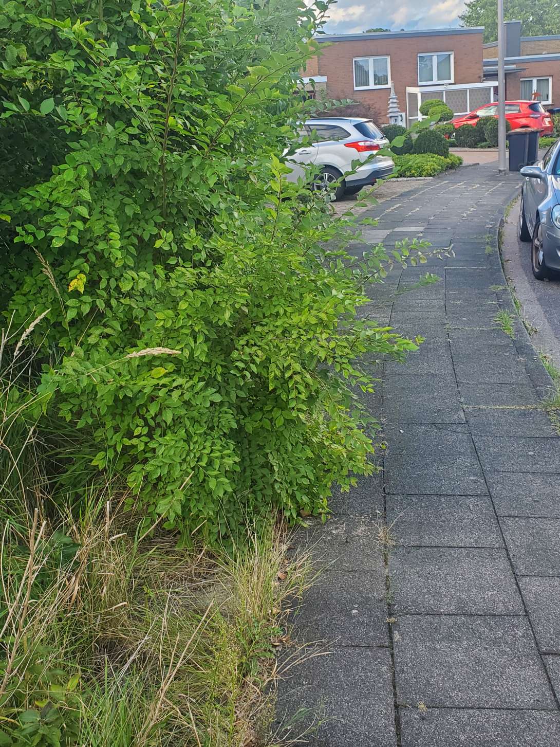 Bild zu gemeldetem Anliegen vom *2025-11-24 12:58:35