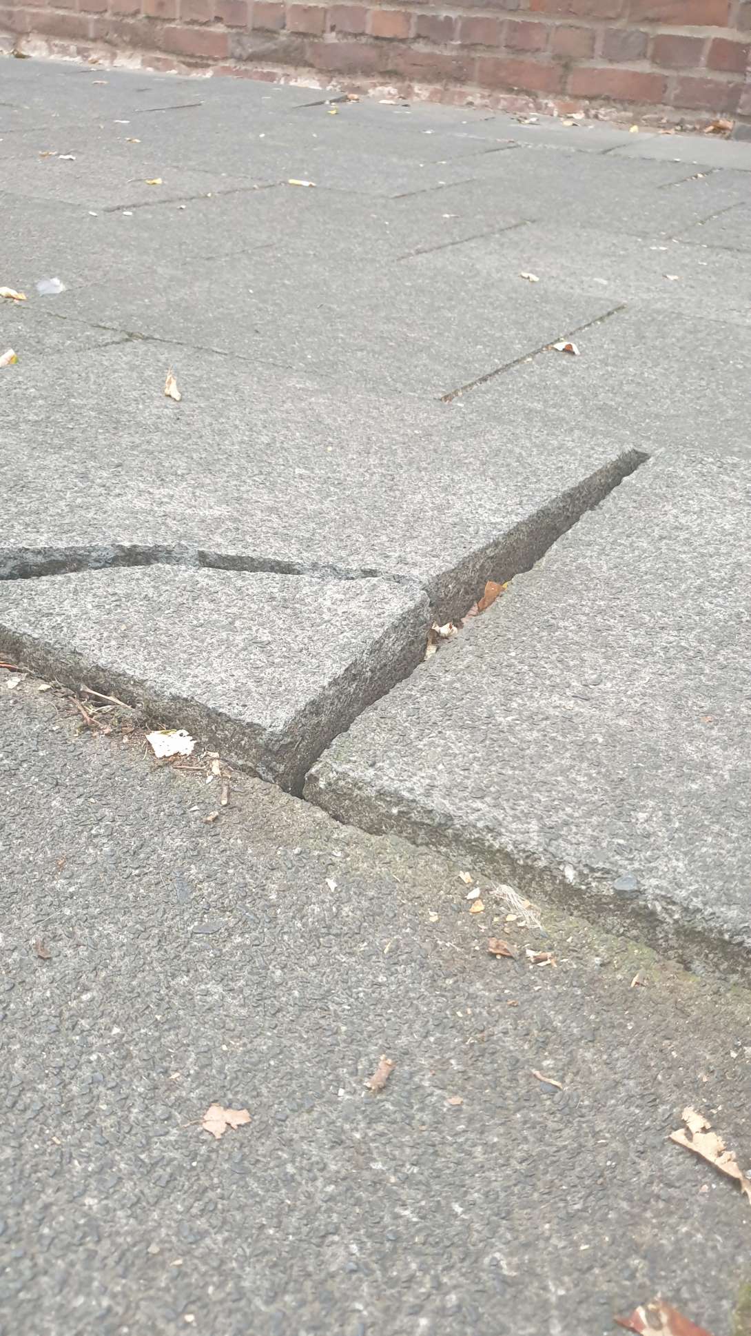 Bild zu gemeldetem Anliegen vom *2025-11-12 15:32:17