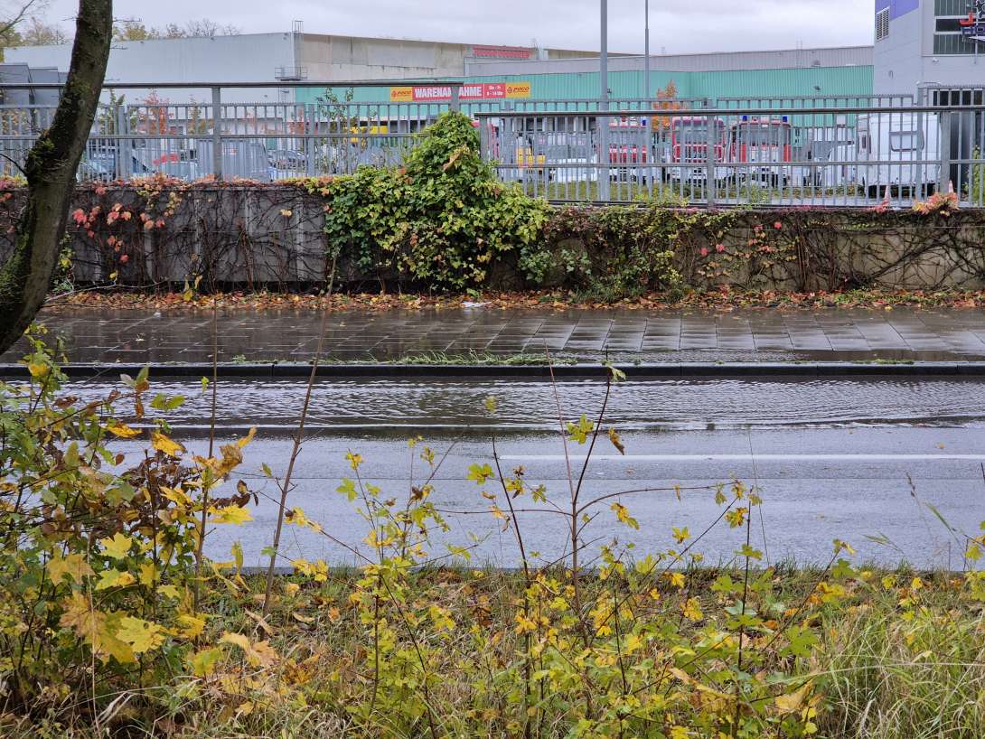 Bild zu gemeldetem Anliegen vom *2025-11-04 00:30:48