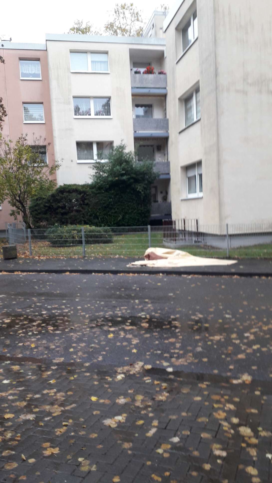 Bild zu gemeldetem Anliegen vom *2025-11-03 10:35:00