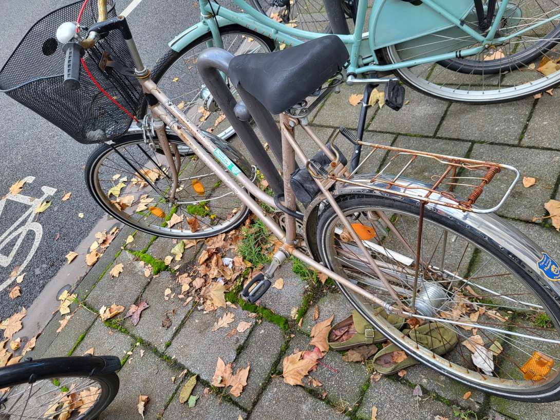 Bild zu gemeldetem Anliegen vom *2025-11-02 18:34:27