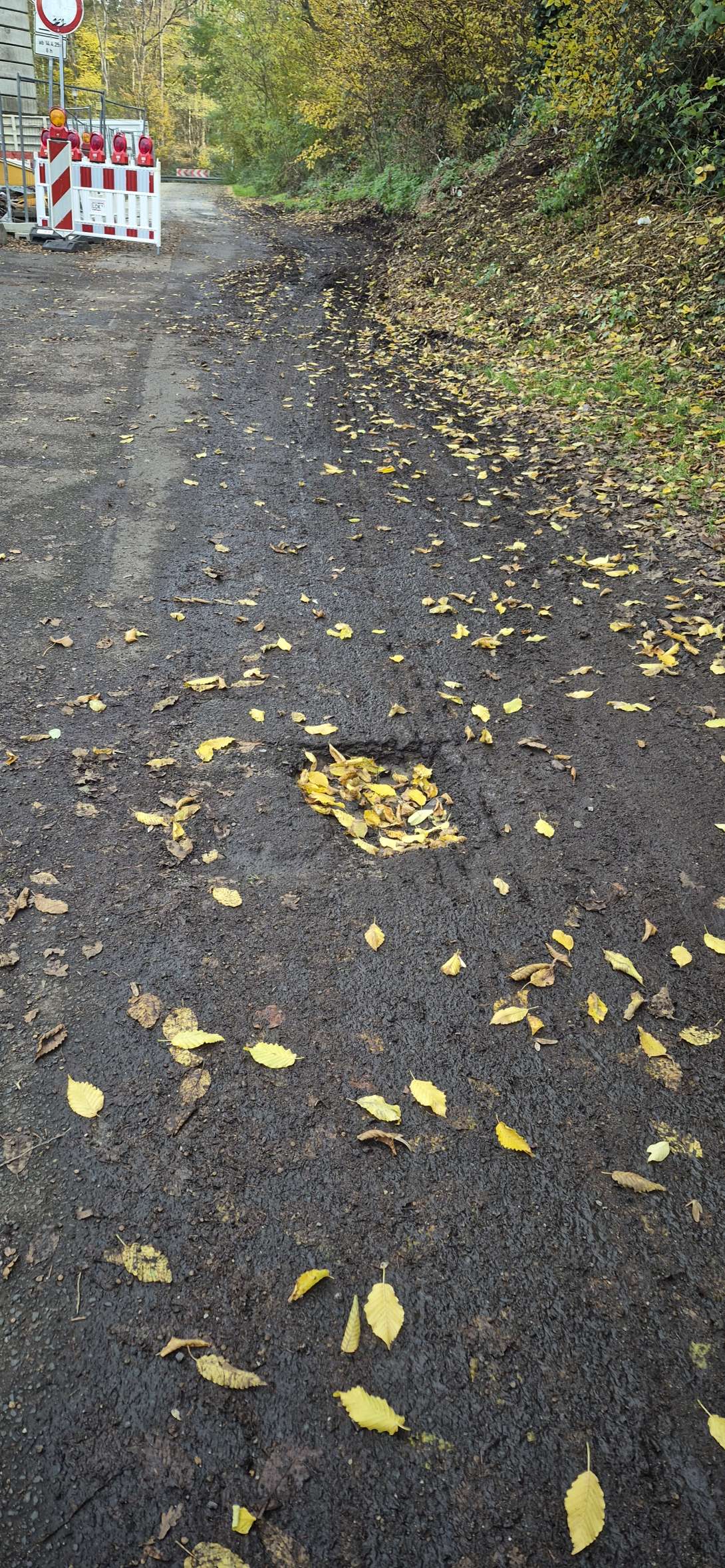 Bild zu gemeldetem Anliegen vom *2025-11-06 13:30:23