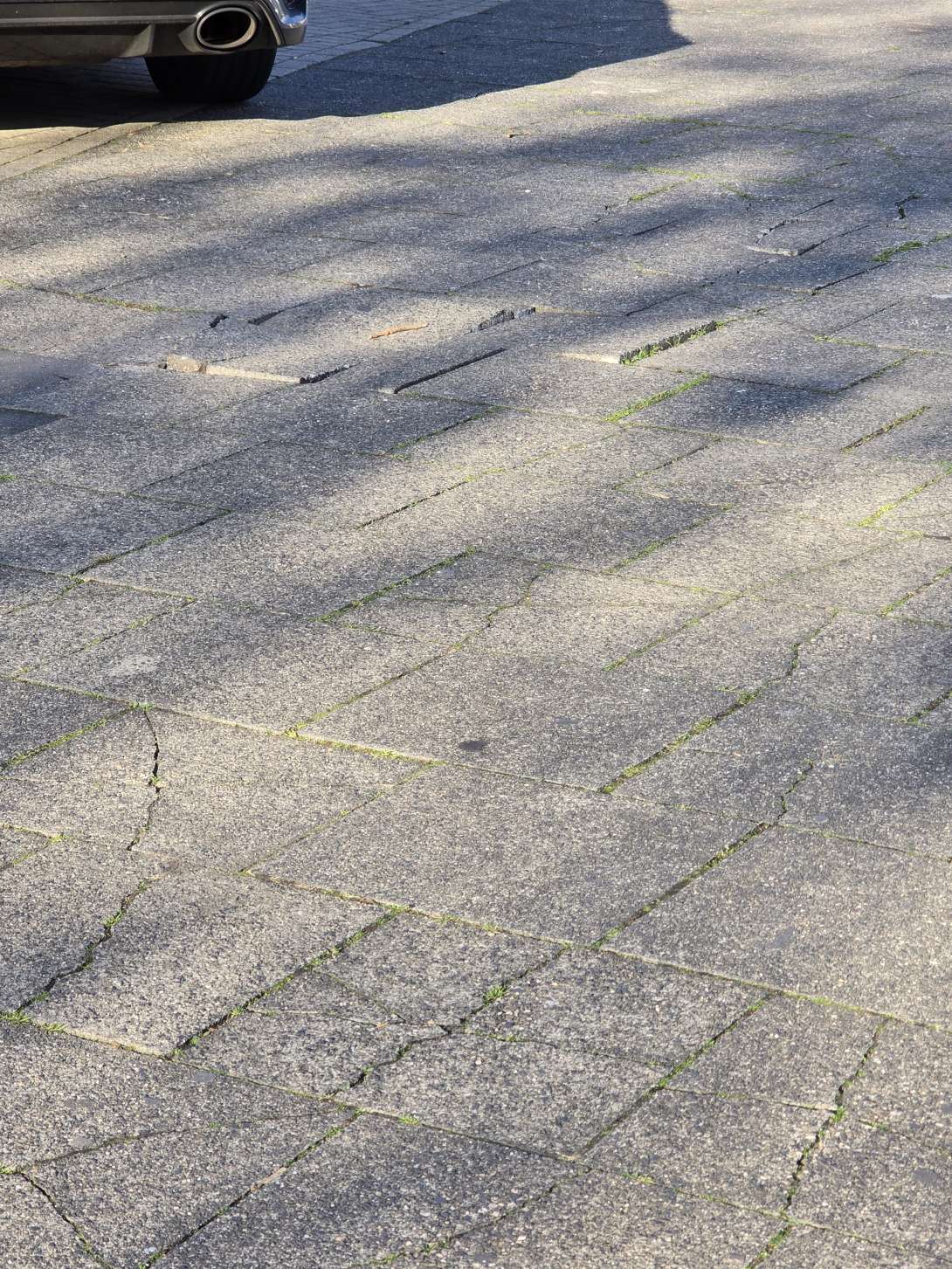 Bild zu gemeldetem Anliegen vom *2025-11-07 15:19:17