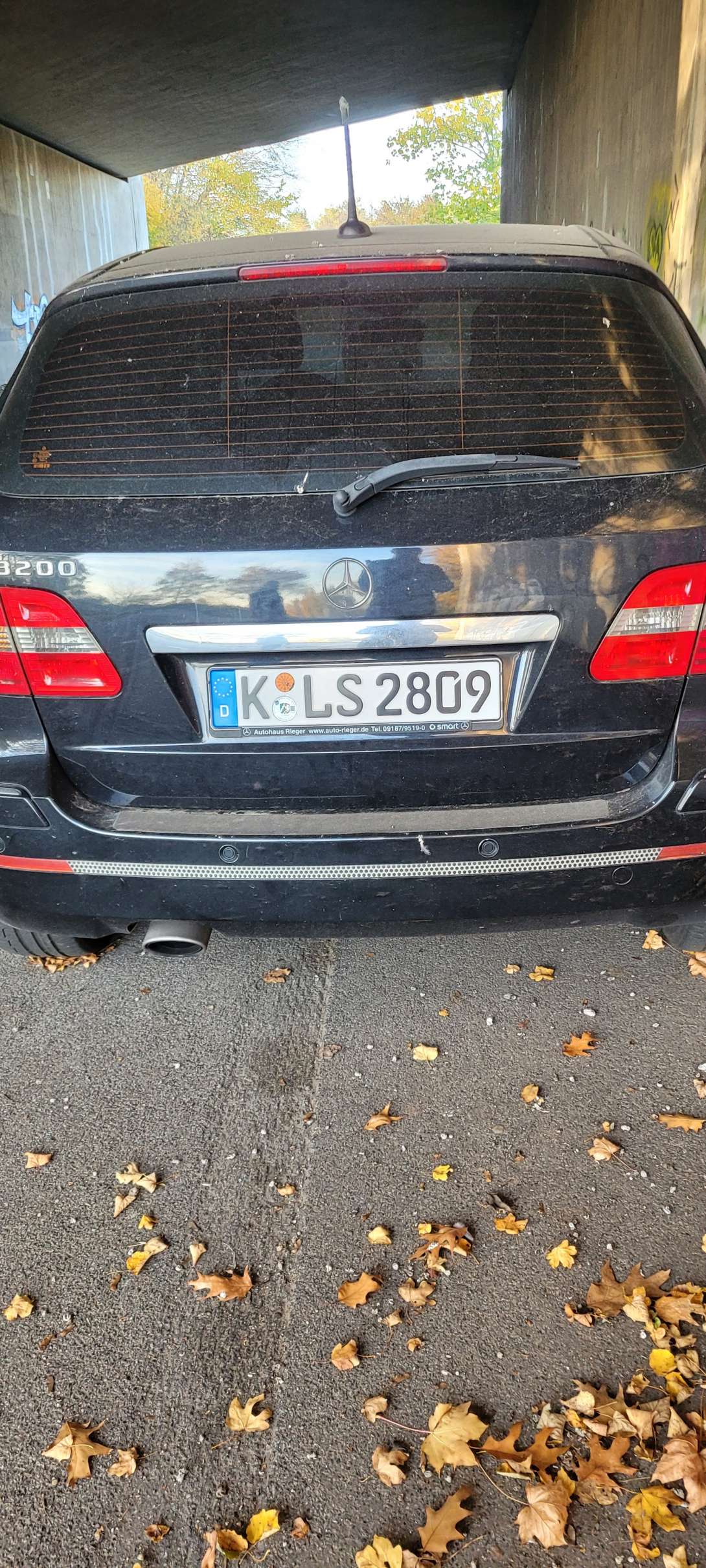 Bild zu gemeldetem Anliegen vom *2025-11-19 11:34:23