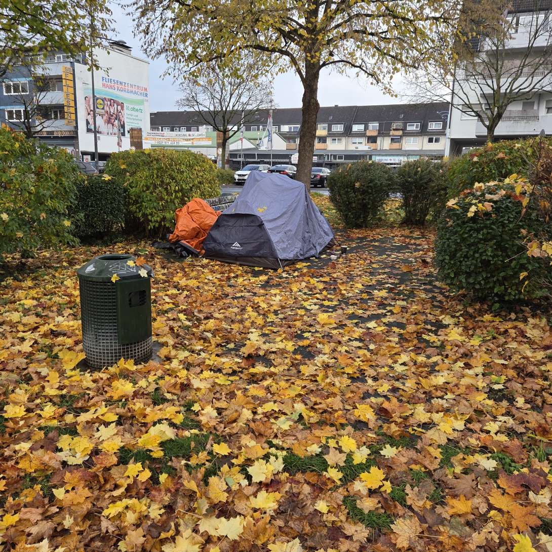 Bild zu gemeldetem Anliegen vom *2025-11-09 12:27:23