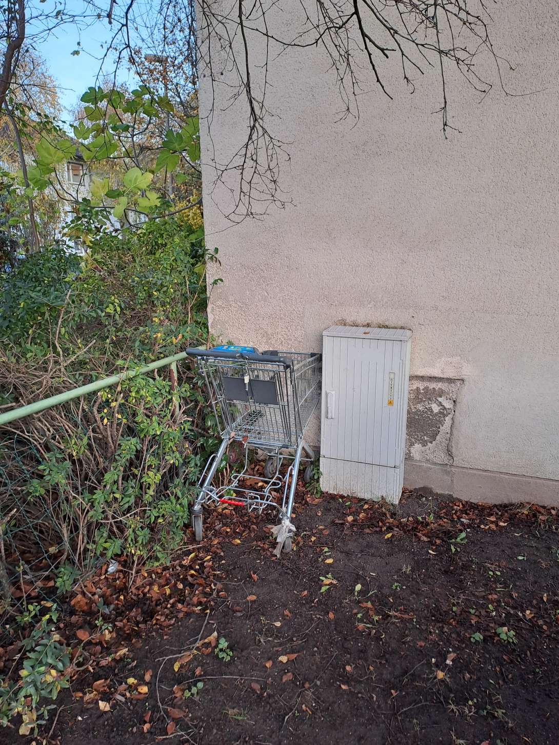 Bild zu gemeldetem Anliegen vom *2025-11-11 08:10:24