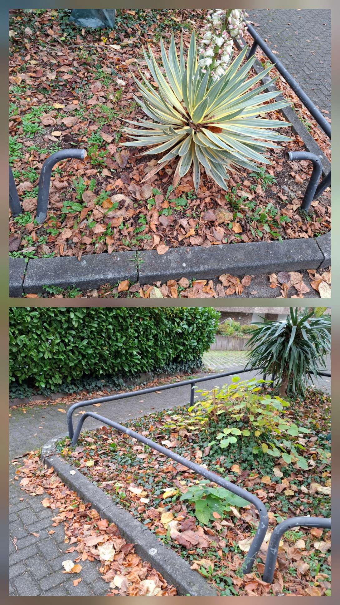 Bild zu gemeldetem Anliegen vom *2025-11-14 16:30:00