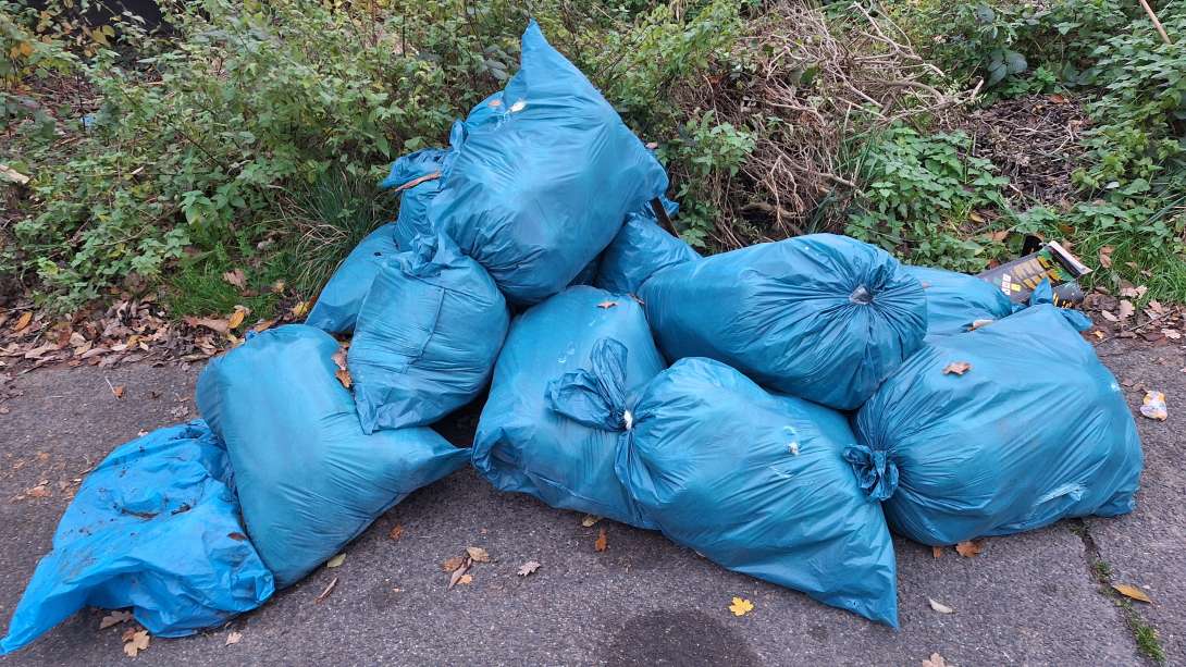 Bild zu gemeldetem Anliegen vom *2025-11-17 10:28:30