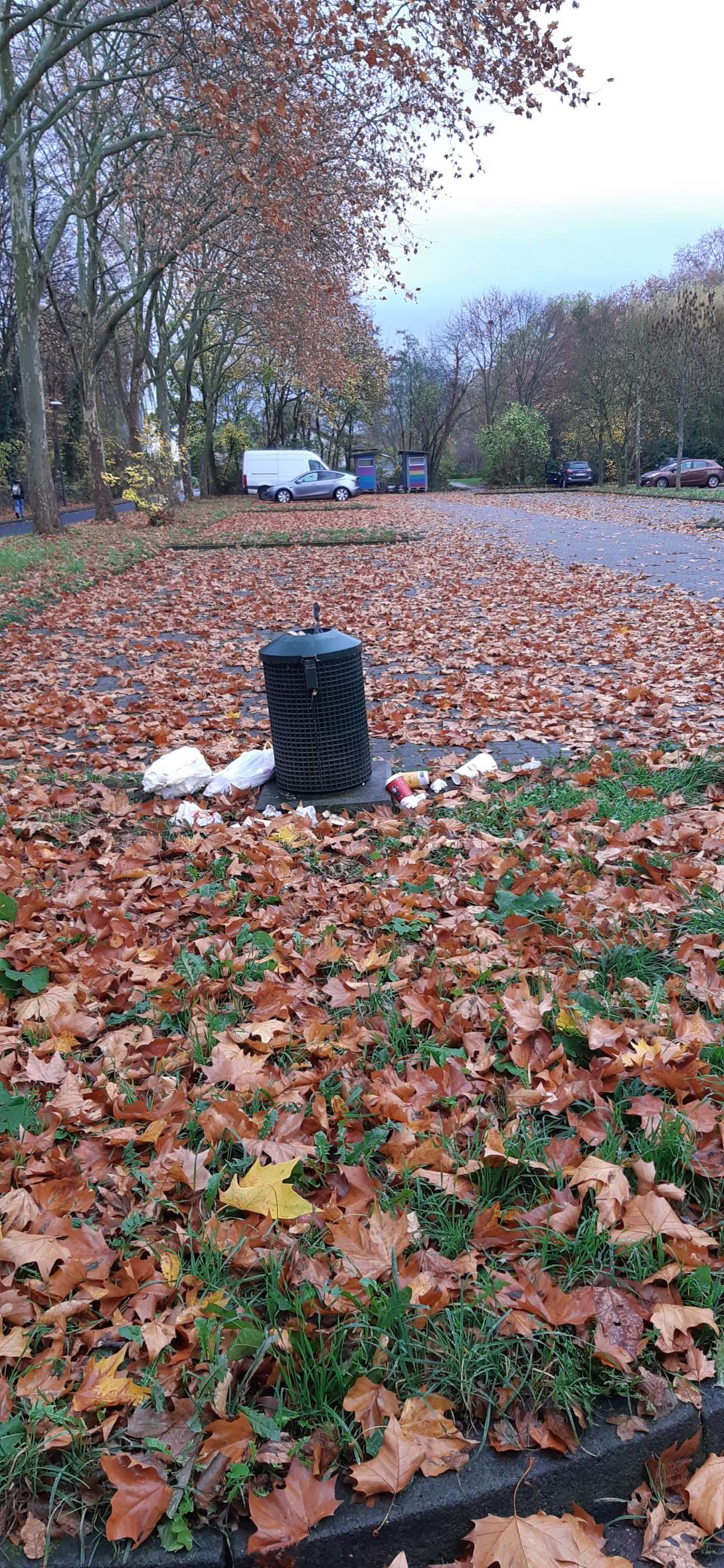 Bild zu gemeldetem Anliegen vom *2025-11-17 12:05:58