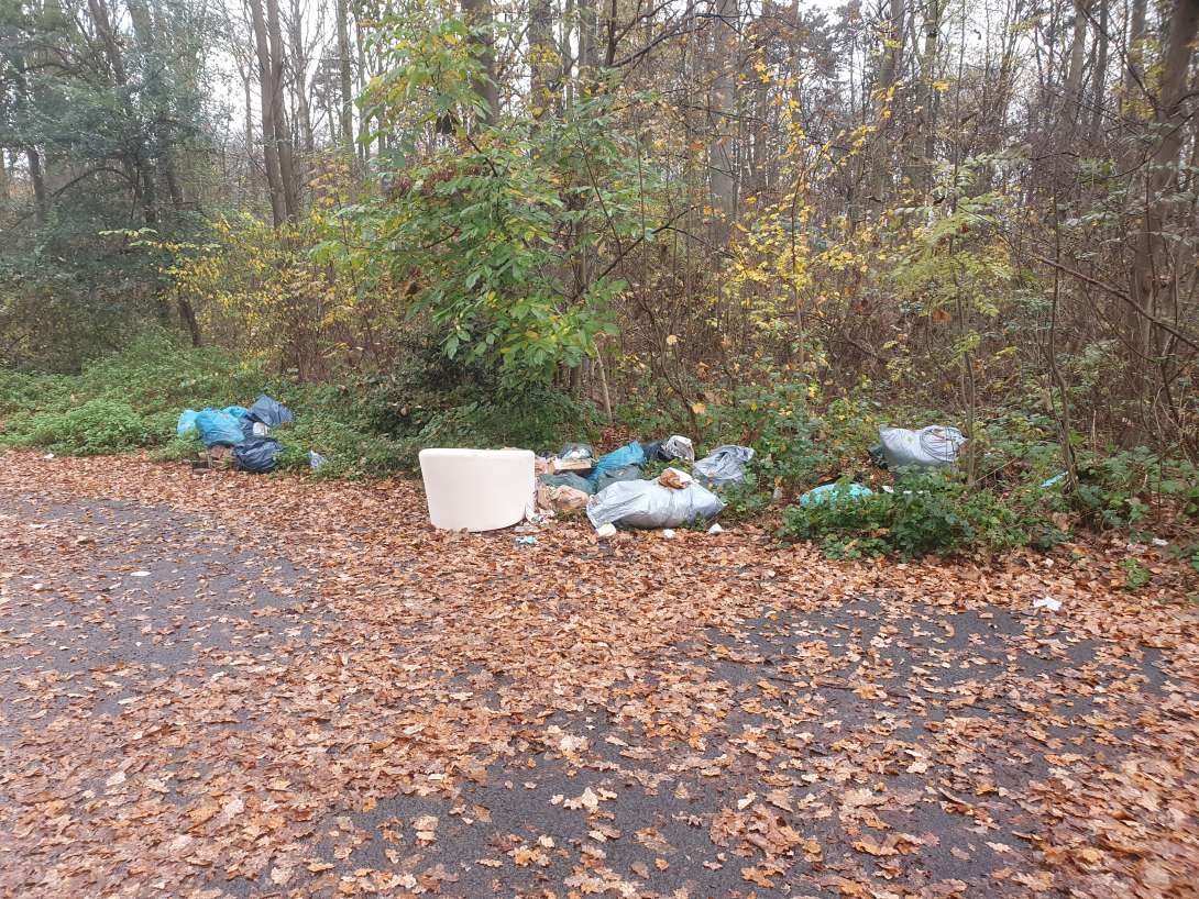 Bild zu gemeldetem Anliegen vom *2025-11-17 11:19:49