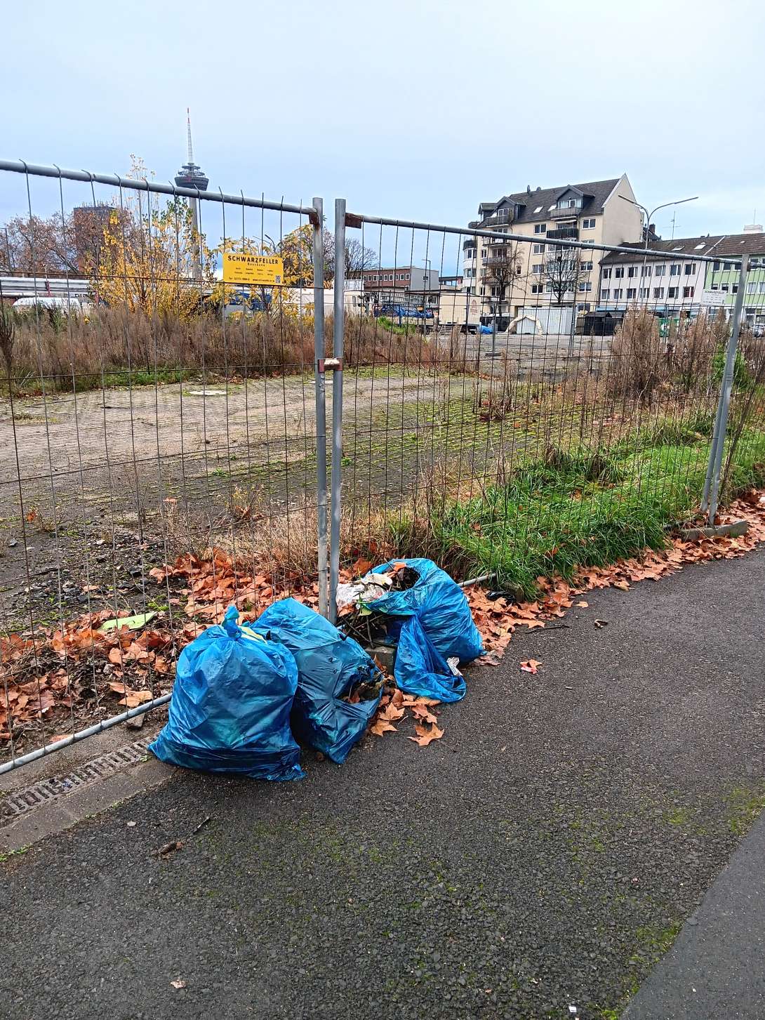 Bild zu gemeldetem Anliegen vom *2025-11-17 14:07:07