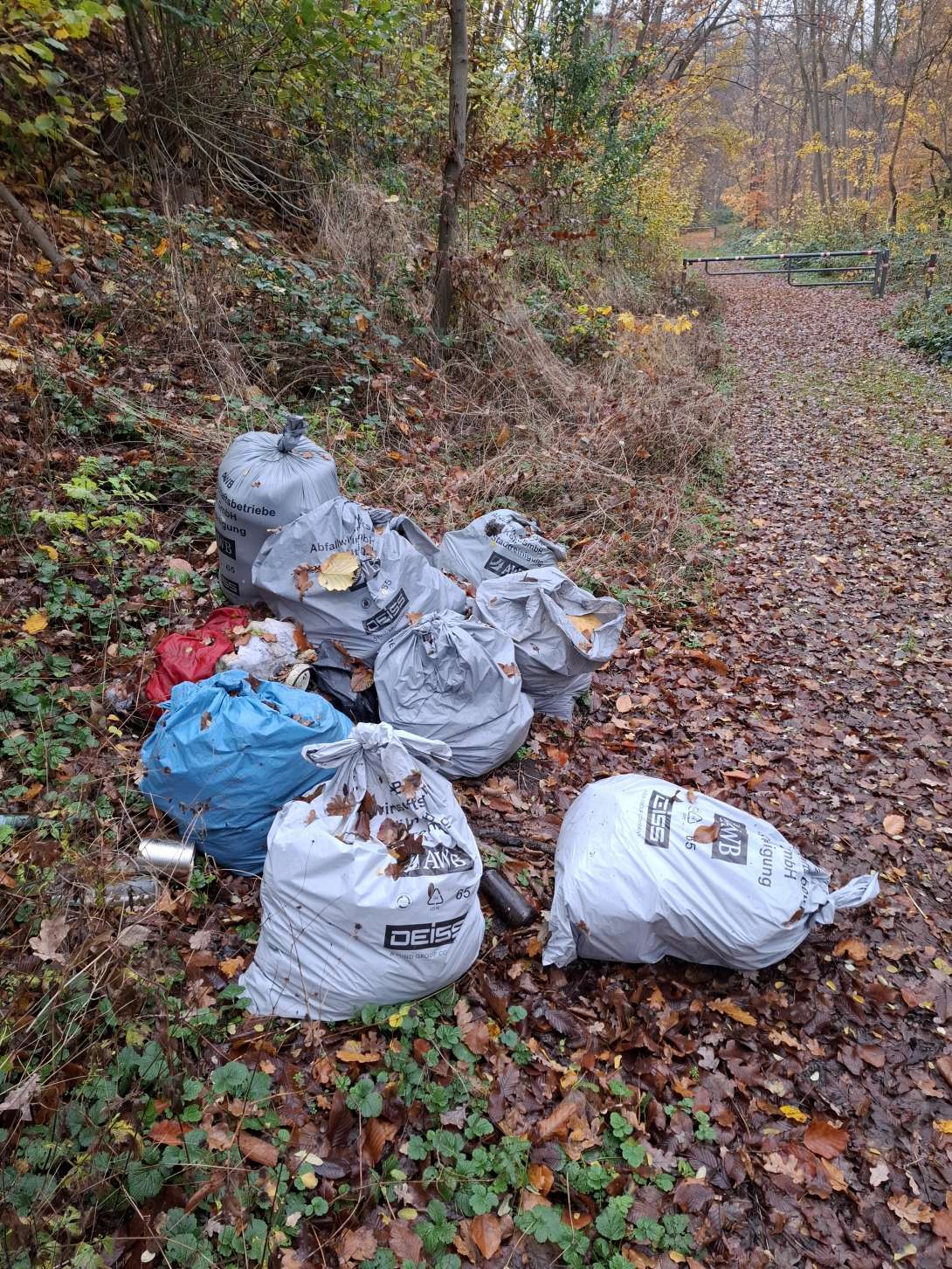 Bild zu gemeldetem Anliegen vom *2025-11-16 18:27:37