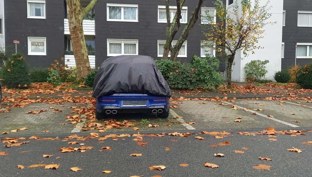 Bild zu gemeldetem Anliegen vom *2025-11-17 13:14:03