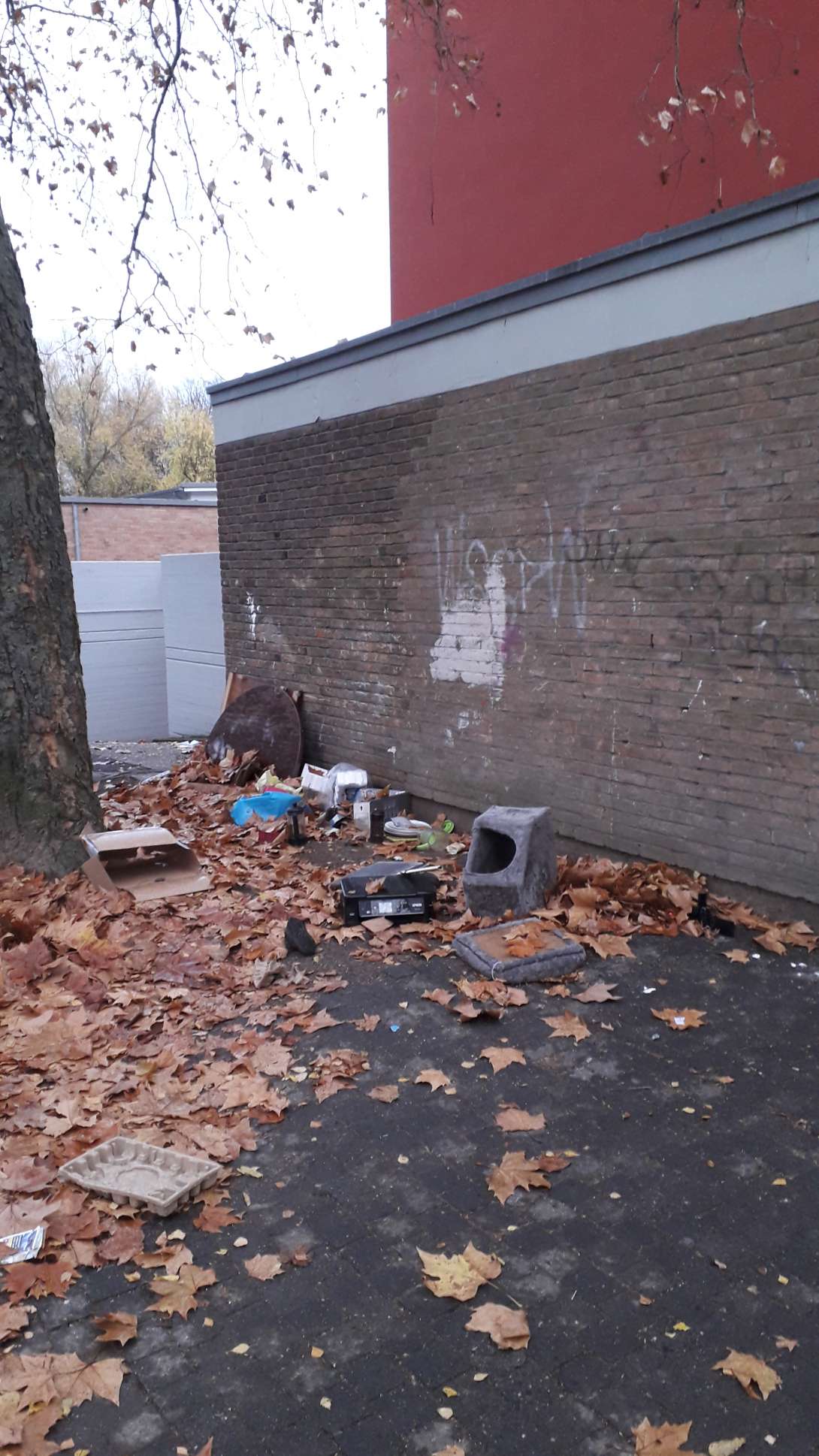 Bild zu gemeldetem Anliegen vom *2025-11-19 06:33:32