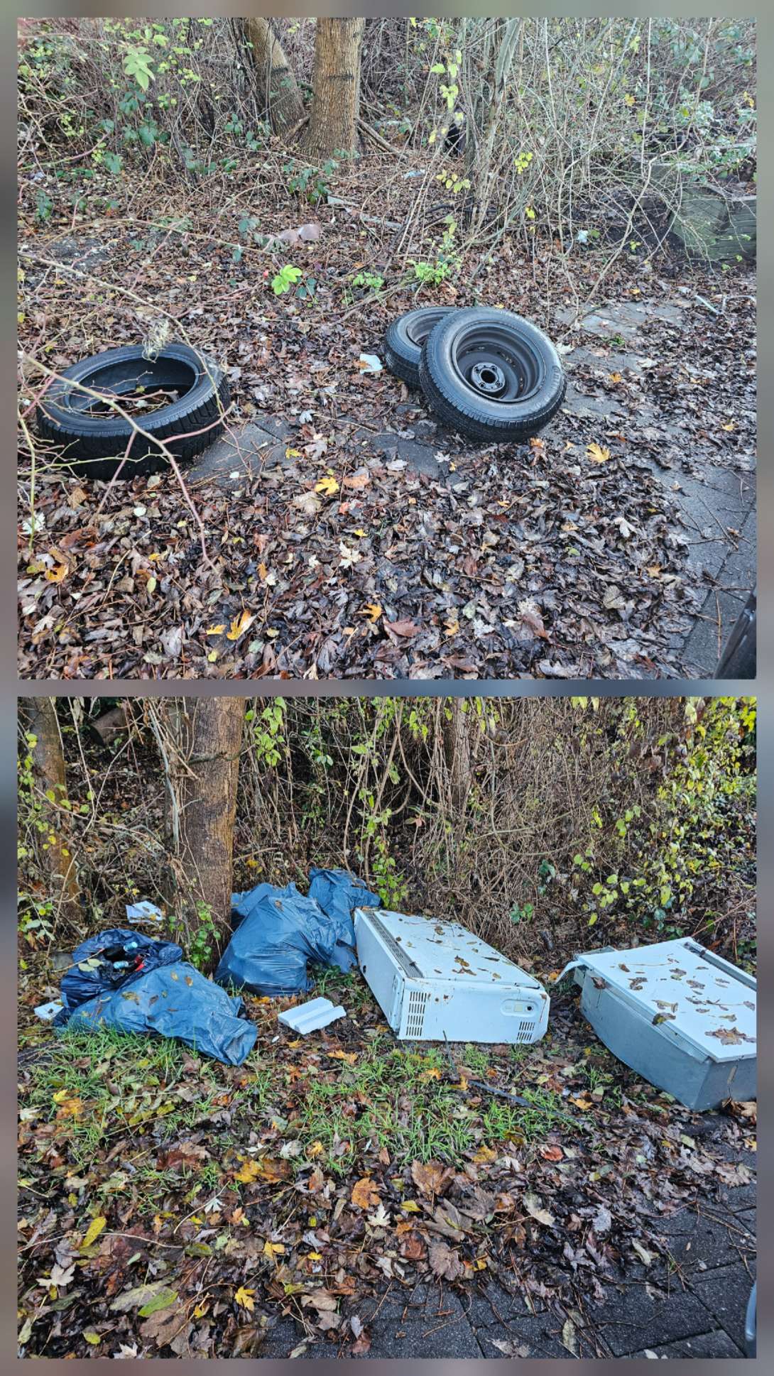 Bild zu gemeldetem Anliegen vom *2025-11-20 08:43:45