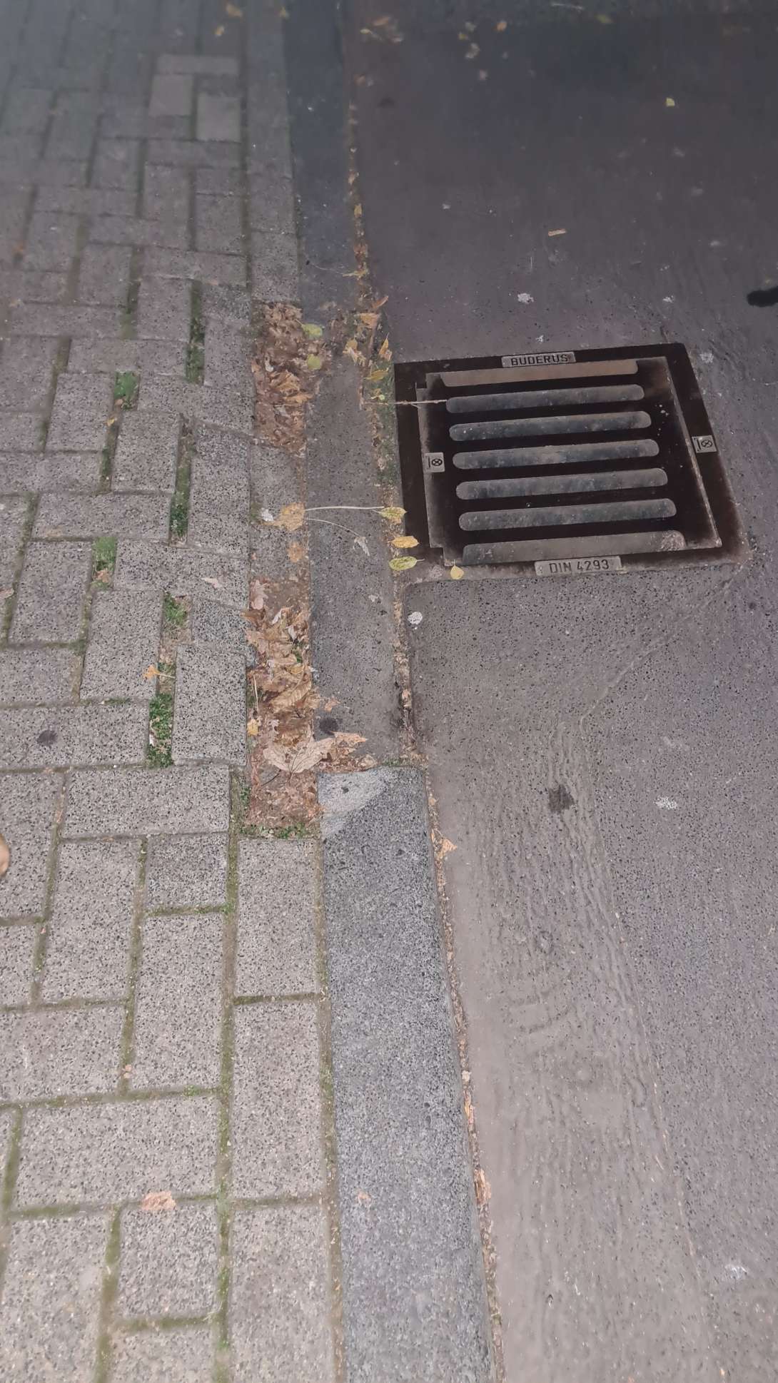 Bild zu gemeldetem Anliegen vom *2025-11-23 20:48:48