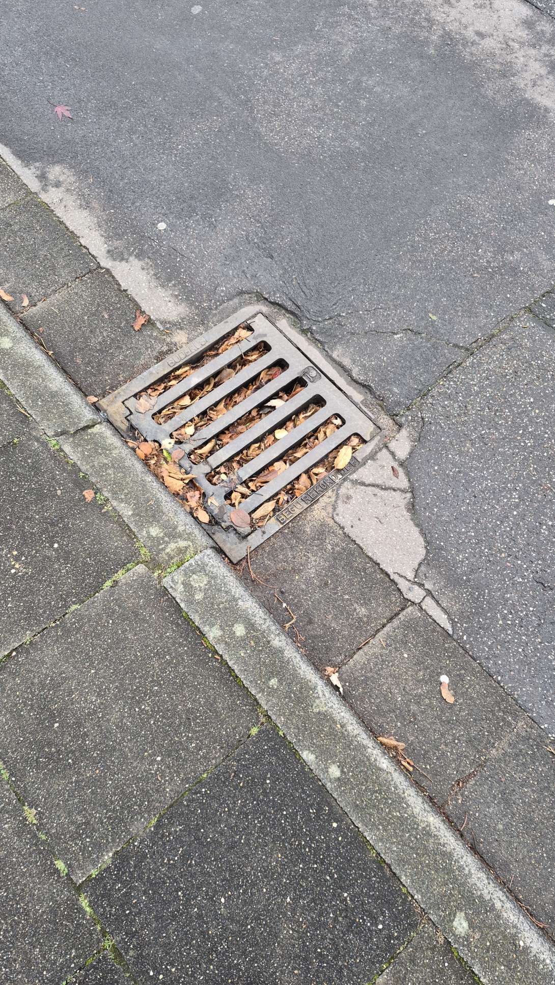 Bild zu gemeldetem Anliegen vom *2025-11-25 13:58:42