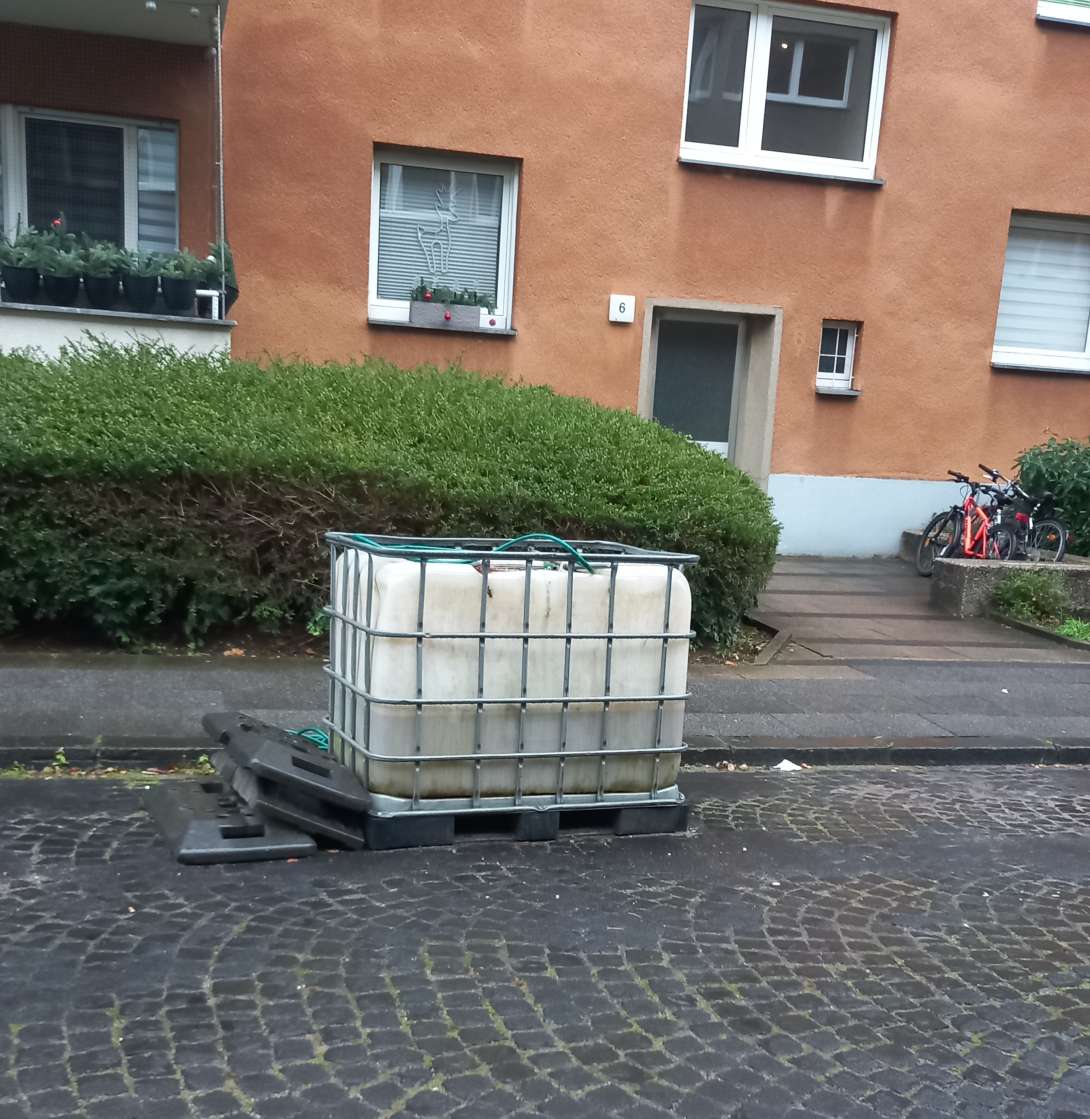 Bild zu gemeldetem Anliegen vom *2025-11-27 12:27:37