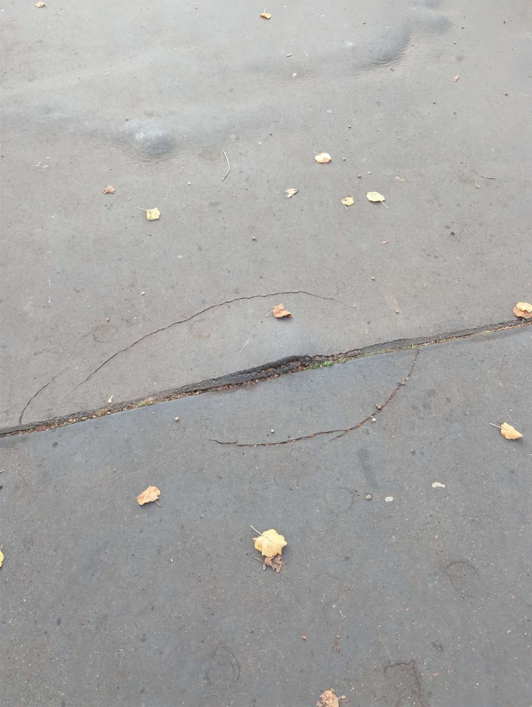 Bild zu gemeldetem Anliegen vom *2025-11-13 09:27:48