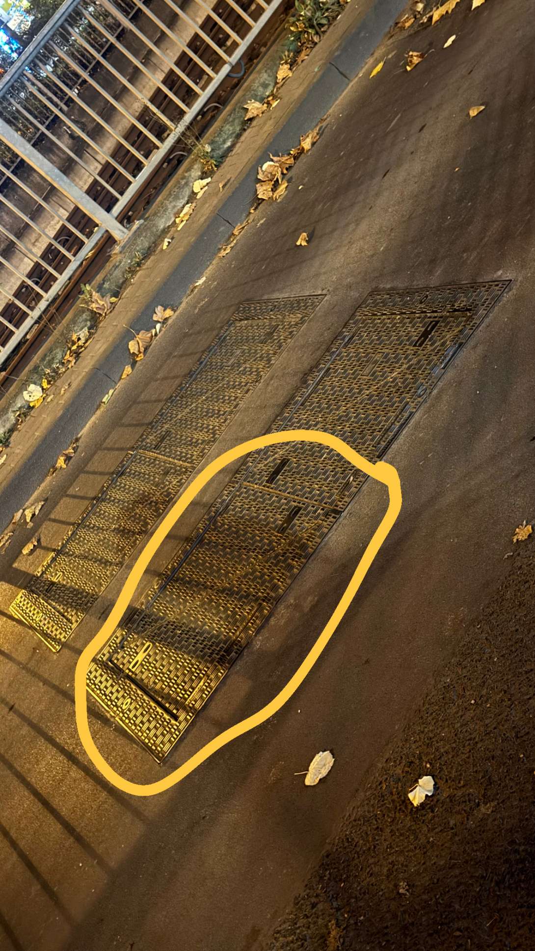 Bild zu gemeldetem Anliegen vom *2025-11-04 22:53:31