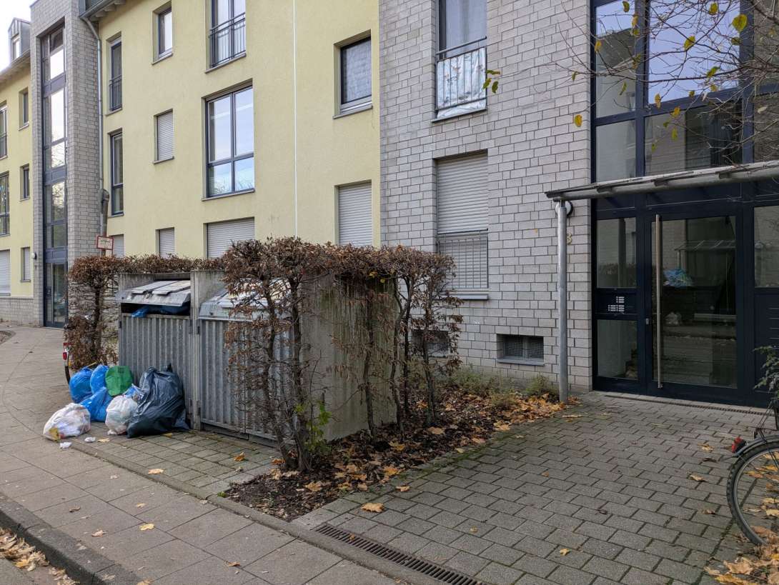 Bild zu gemeldetem Anliegen vom *2025-11-24 13:51:53