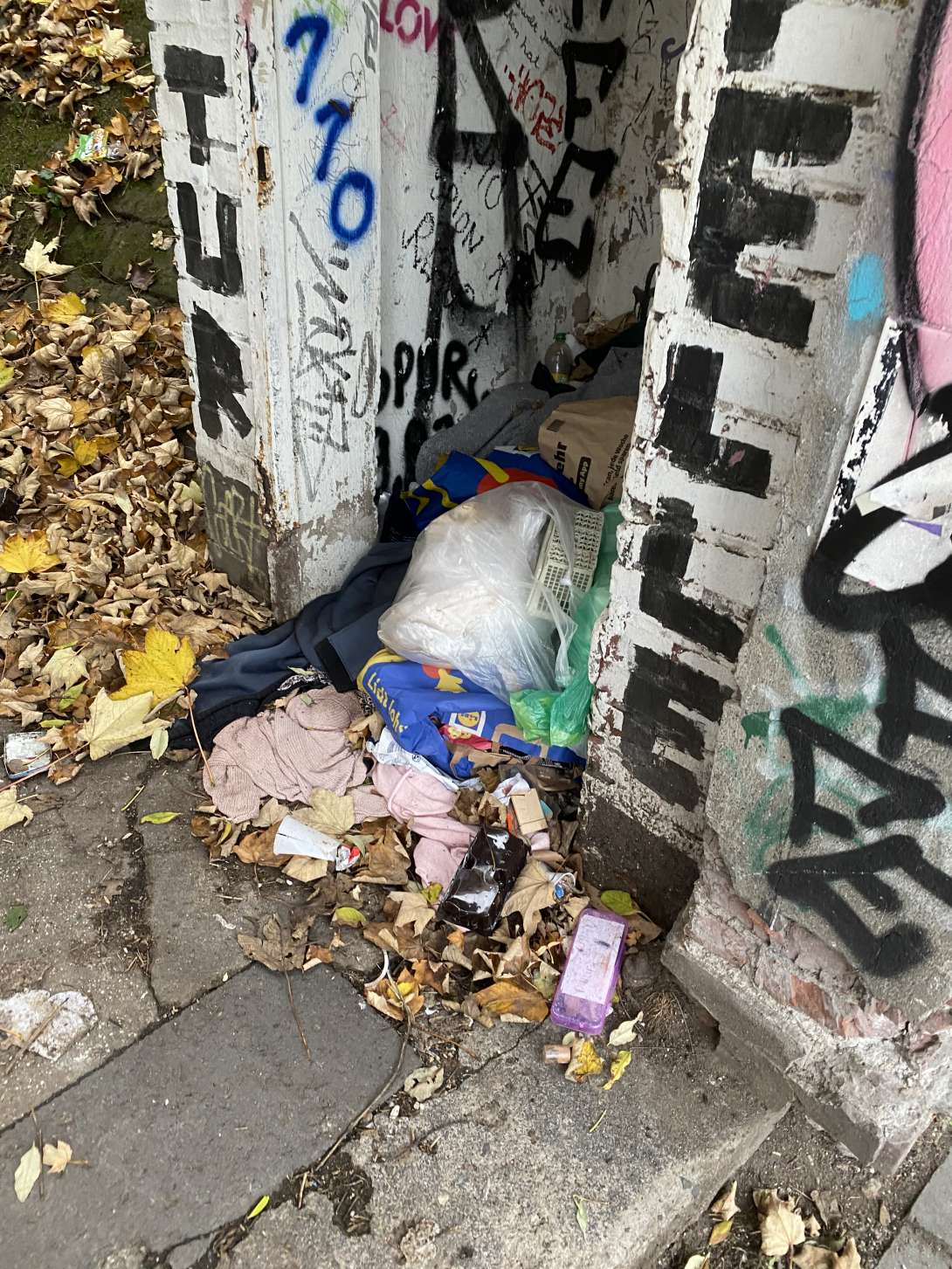 Bild zu gemeldetem Anliegen vom *2025-11-17 12:52:11