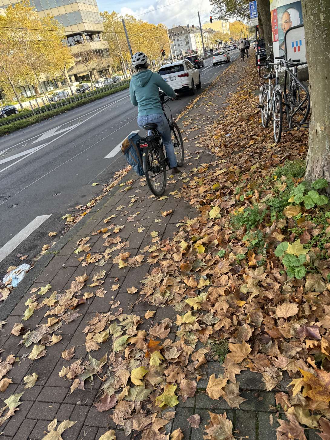 Bild zu gemeldetem Anliegen vom *2025-11-03 11:32:57