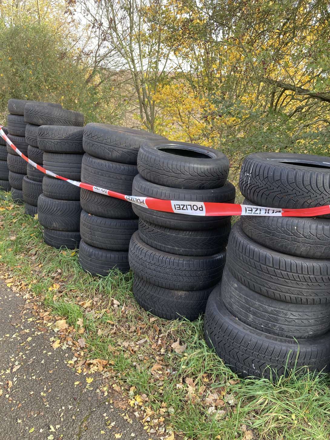 Bild zu gemeldetem Anliegen vom *2025-11-05 13:05:27