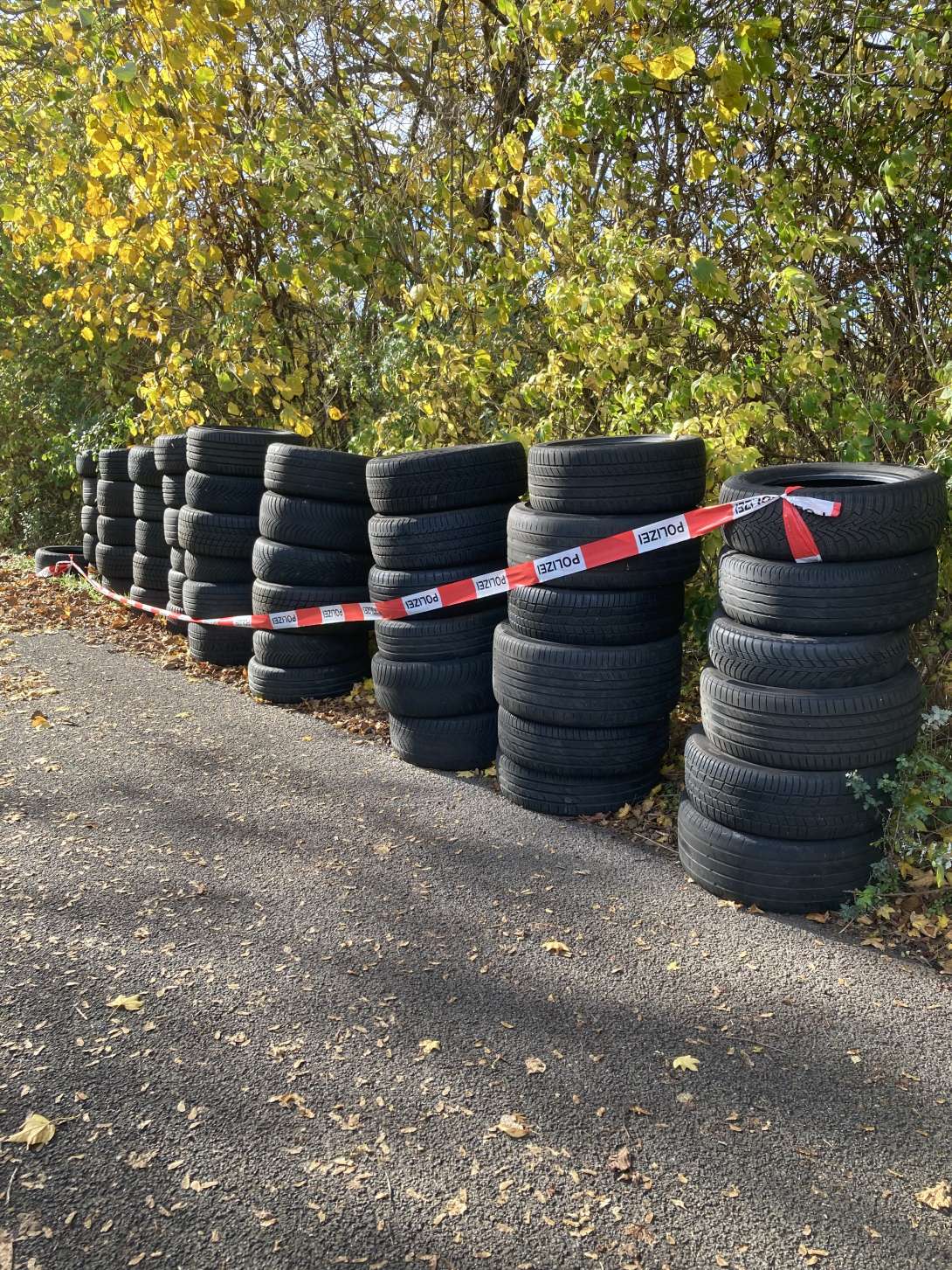 Bild zu gemeldetem Anliegen vom *2025-11-05 13:07:06