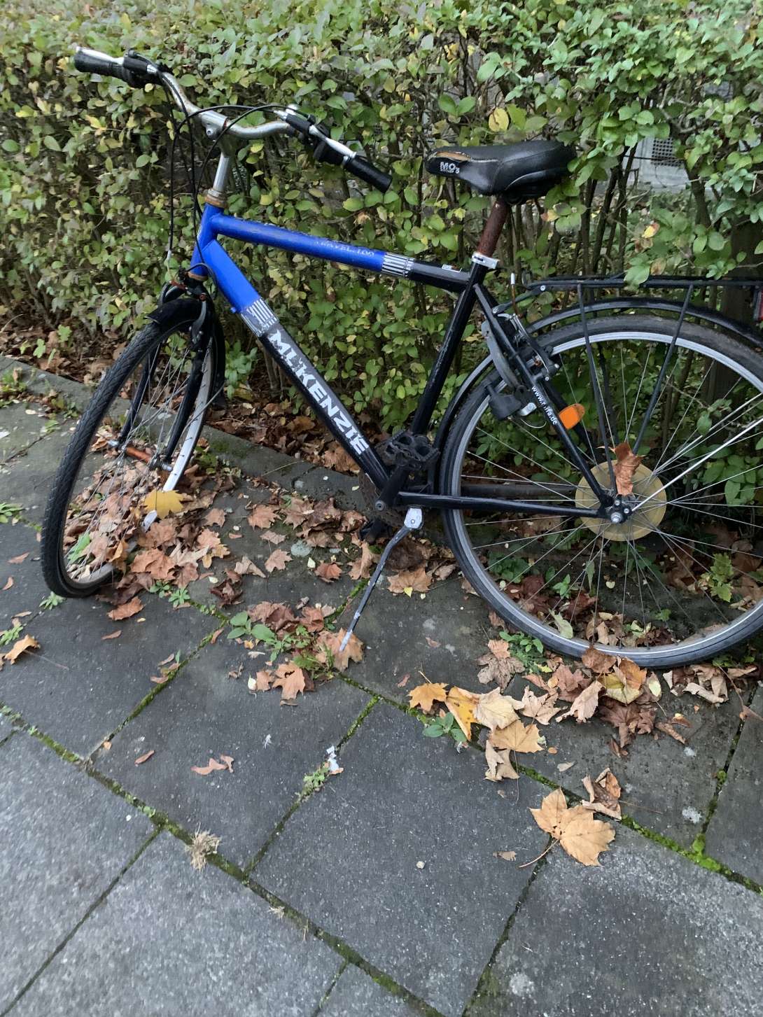 Bild zu gemeldetem Anliegen vom *2025-11-04 12:46:02