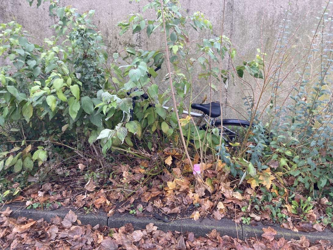 Bild zu gemeldetem Anliegen vom *2025-11-26 06:36:07