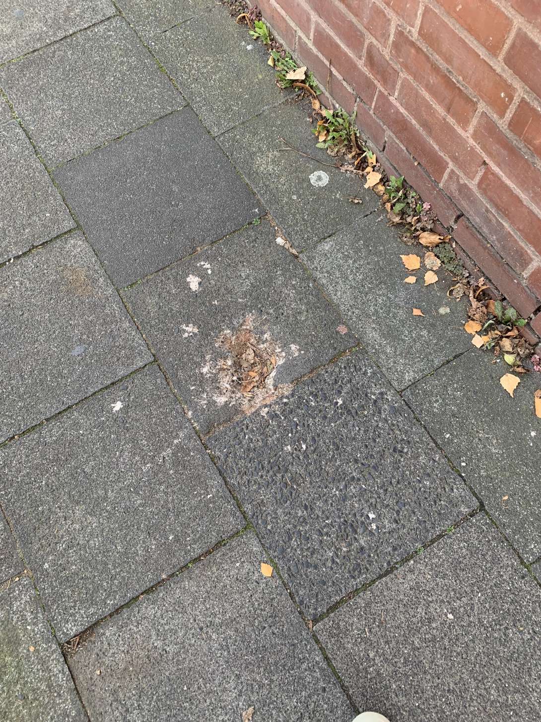 Bild zu gemeldetem Anliegen vom *2025-11-08 13:38:32