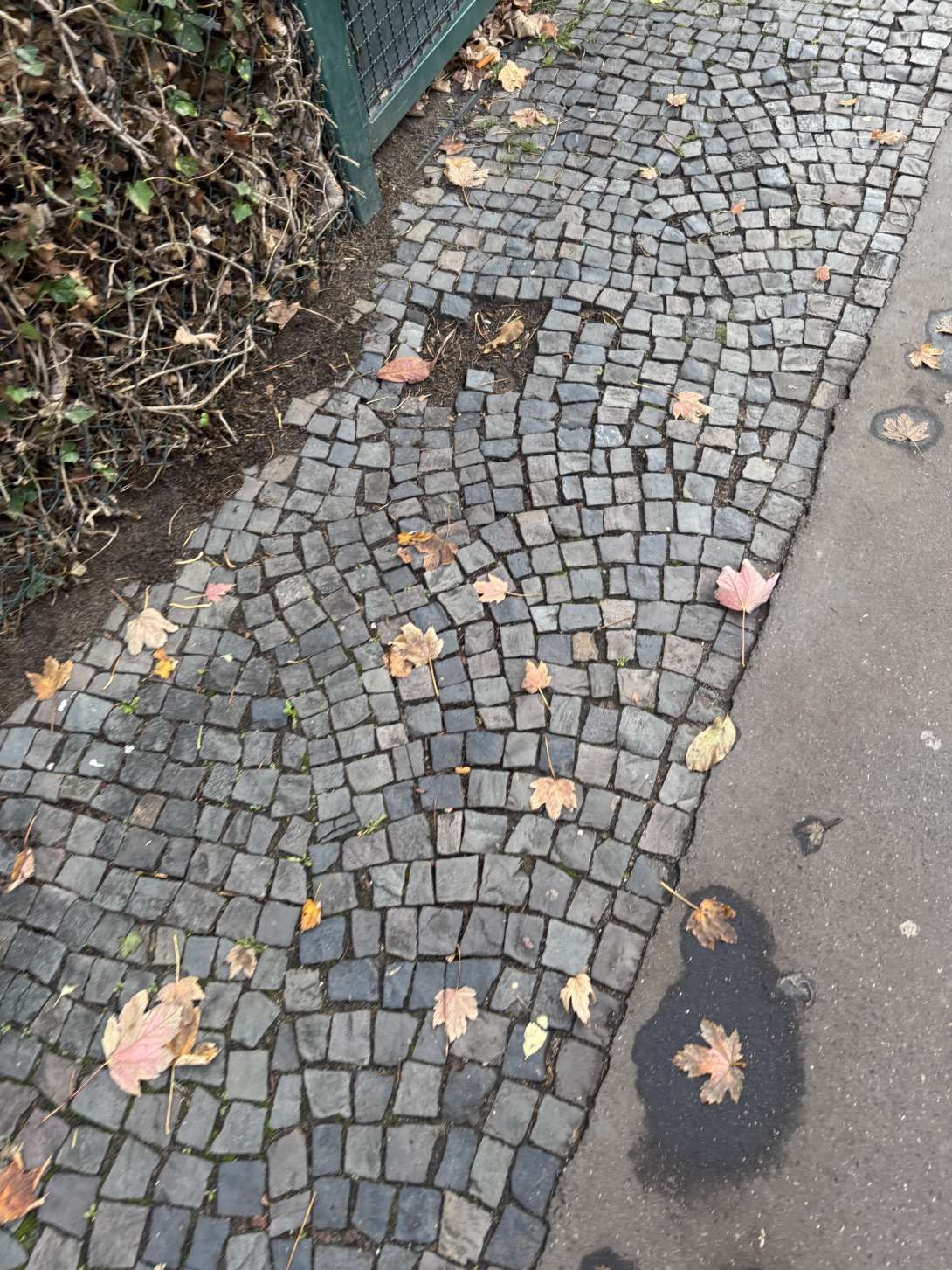 Bild zu gemeldetem Anliegen vom *2025-11-02 08:18:47