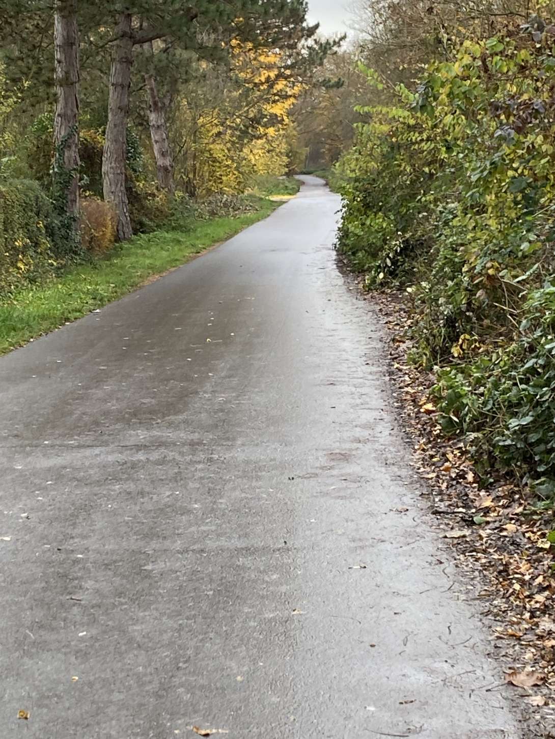 Bild zu gemeldetem Anliegen vom *2025-11-15 18:21:38