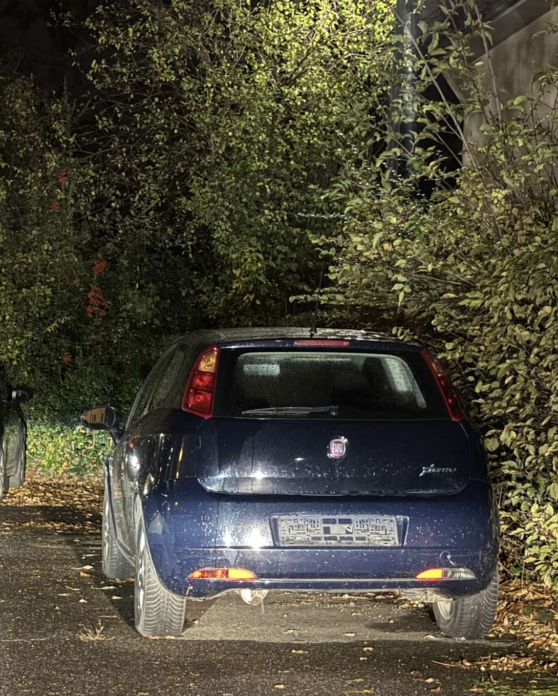 Bild zu gemeldetem Anliegen vom *2025-11-01 09:29:34