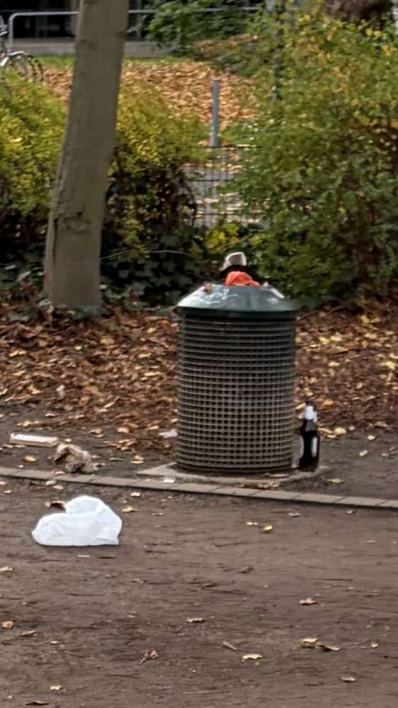 Bild zu gemeldetem Anliegen vom *2025-11-13 12:41:51