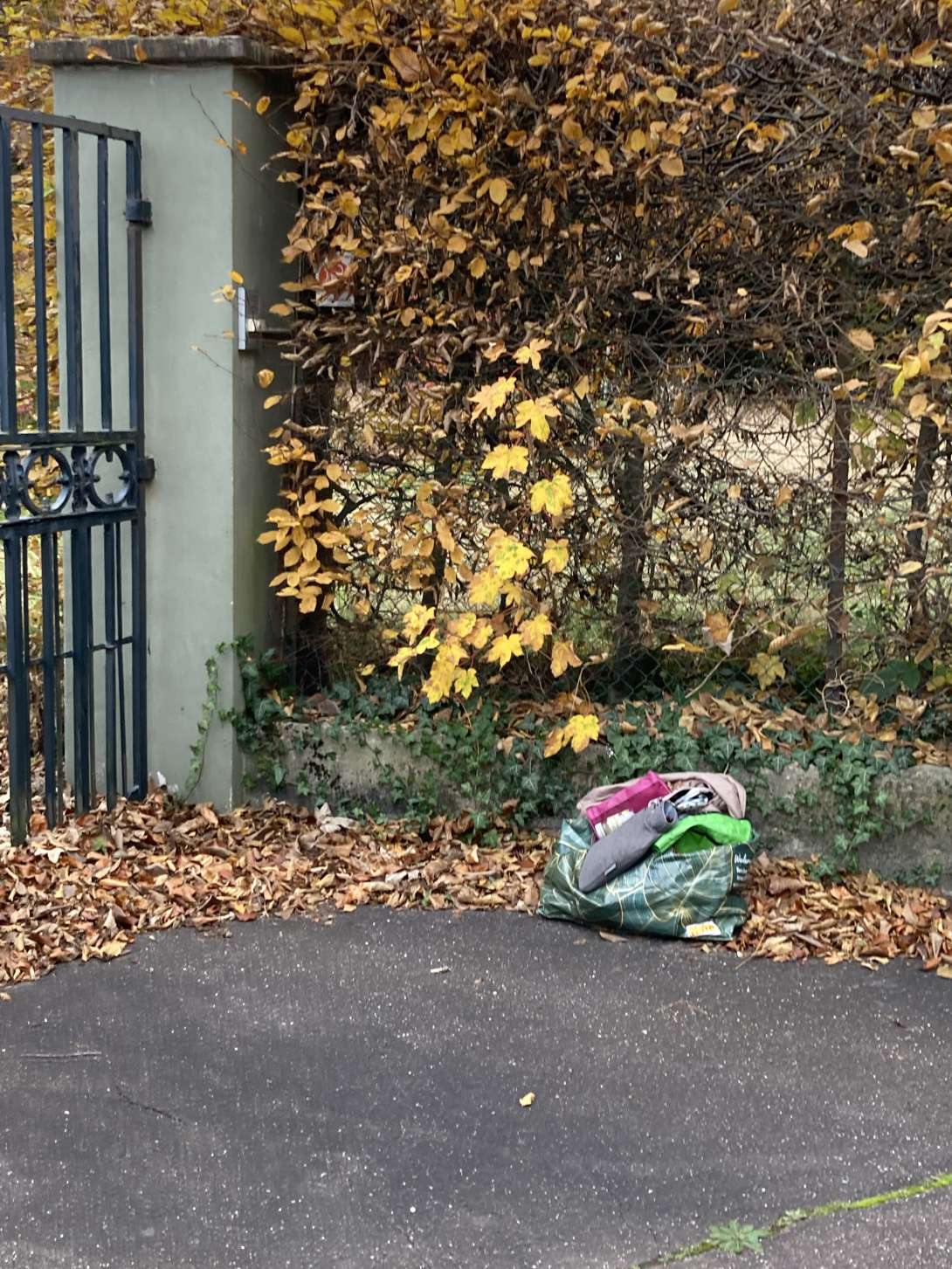 Bild zu gemeldetem Anliegen vom *2025-11-22 15:41:16