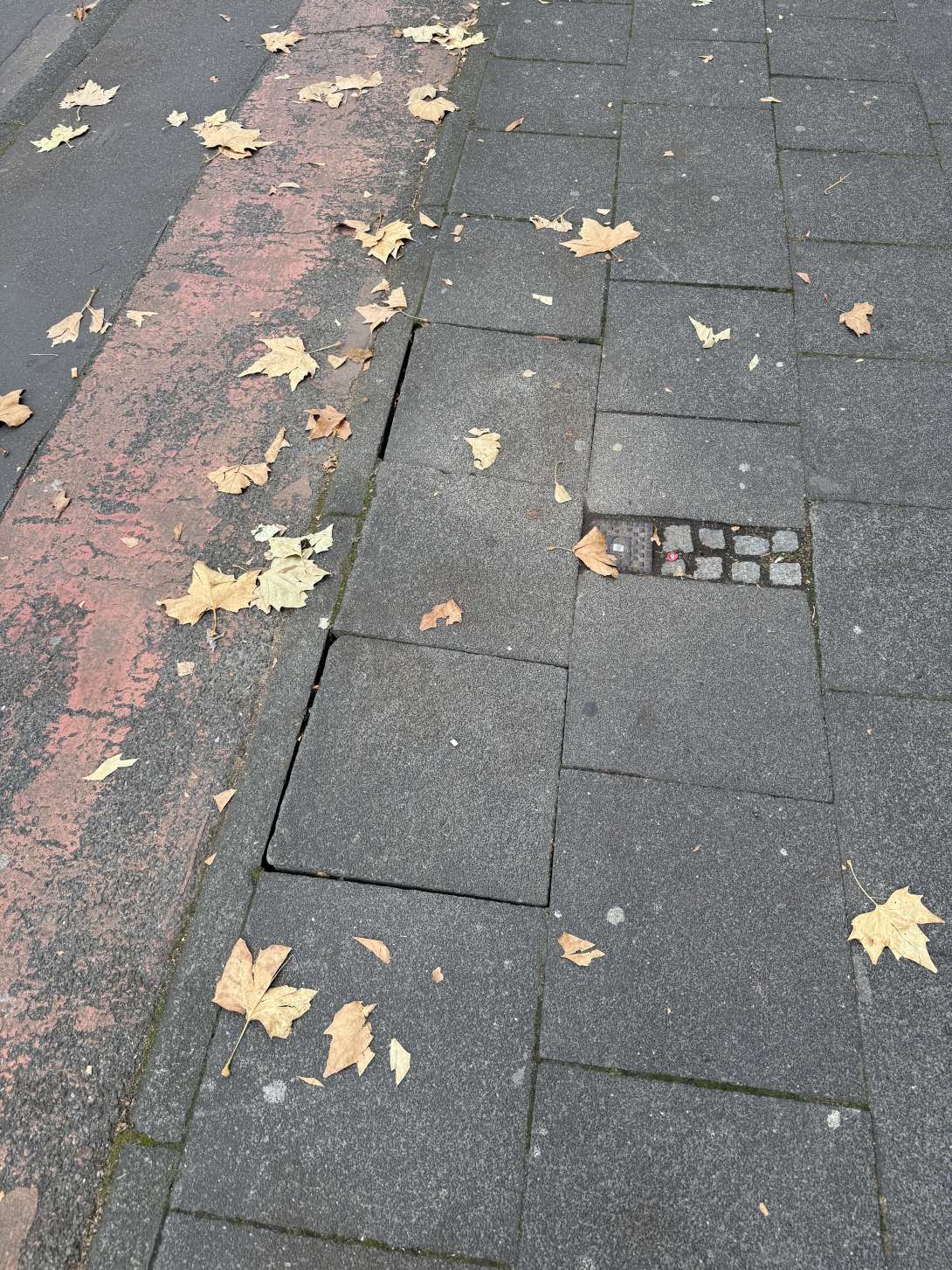 Bild zu gemeldetem Anliegen vom *2025-11-23 07:13:45