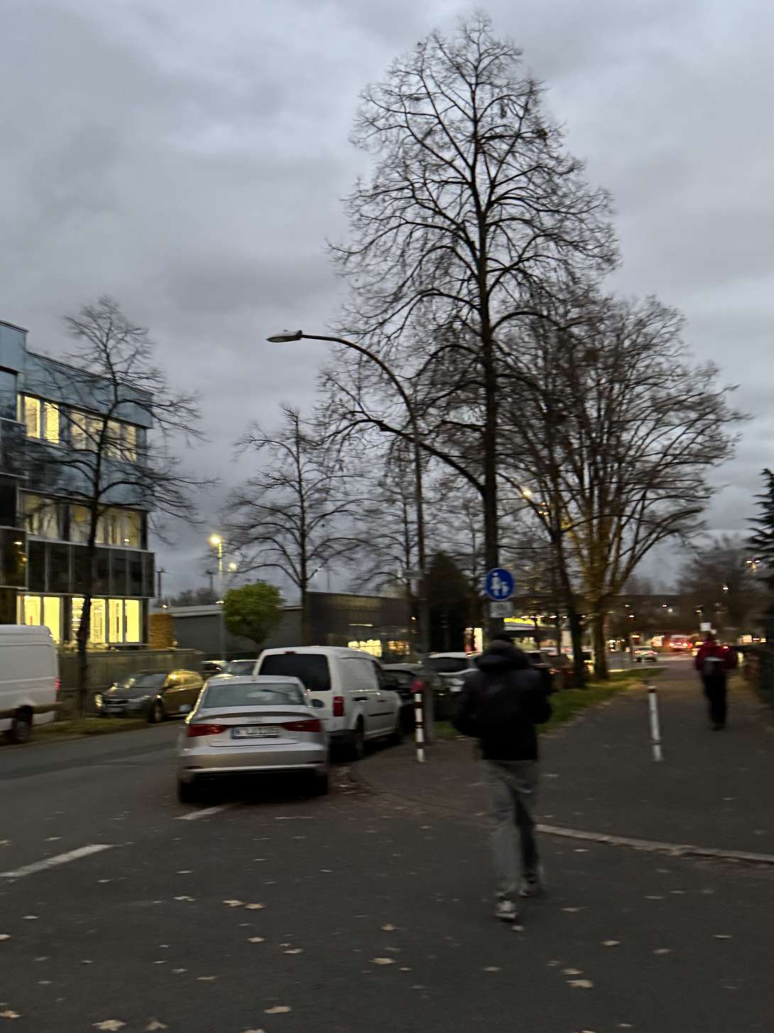 Bild zu gemeldetem Anliegen vom *2025-11-18 15:32:31