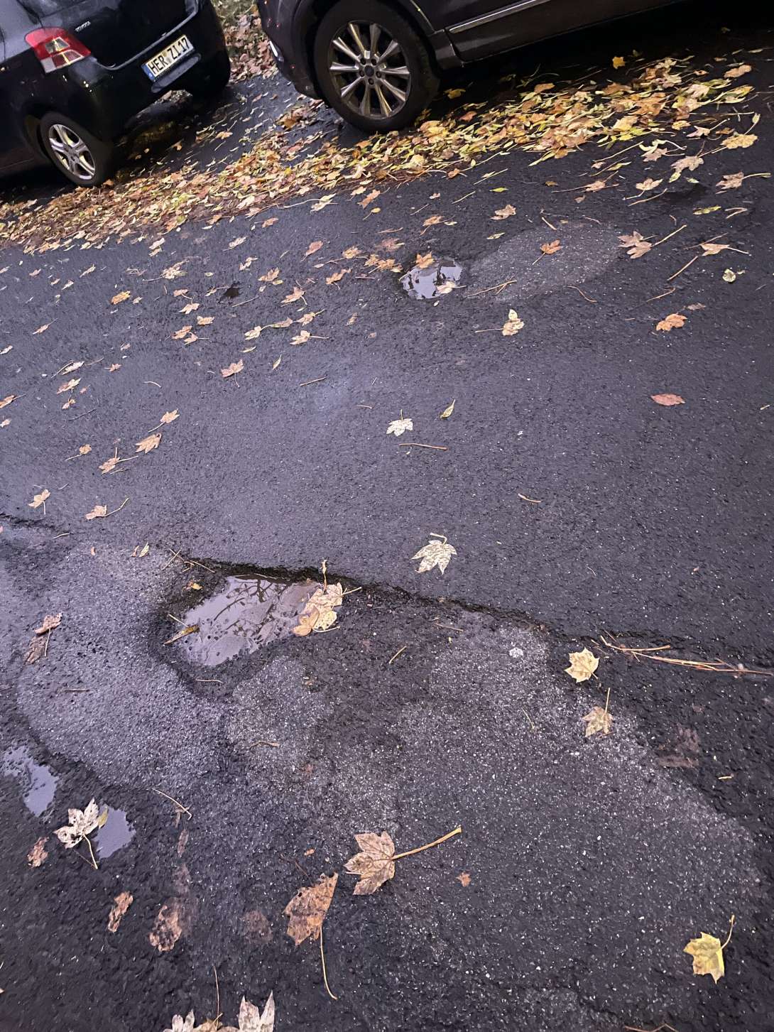 Bild zu gemeldetem Anliegen vom *2025-11-01 17:21:57