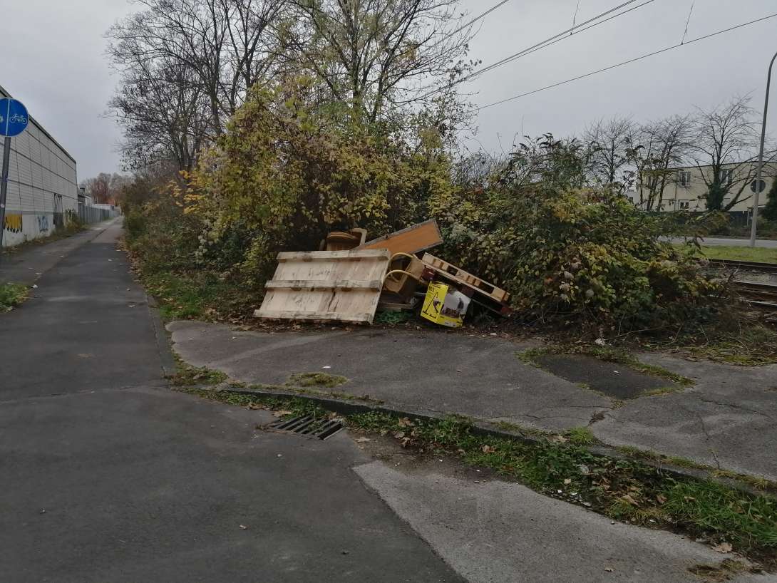 Bild zu gemeldetem Anliegen vom *2025-11-14 12:04:42