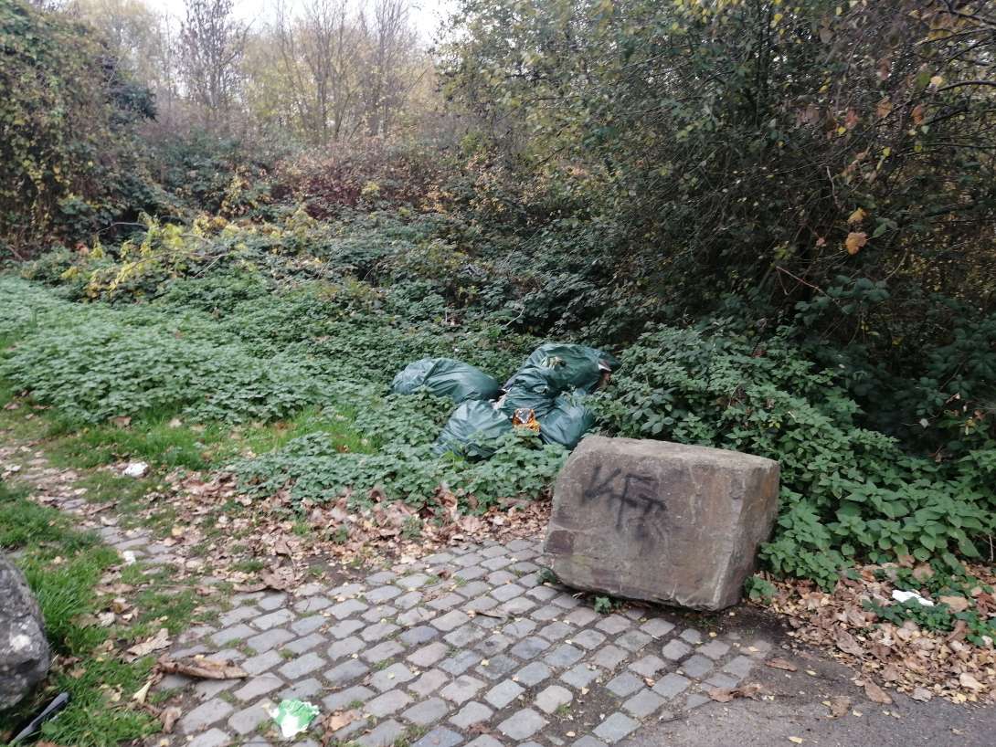 Bild zu gemeldetem Anliegen vom *2025-11-14 12:08:14