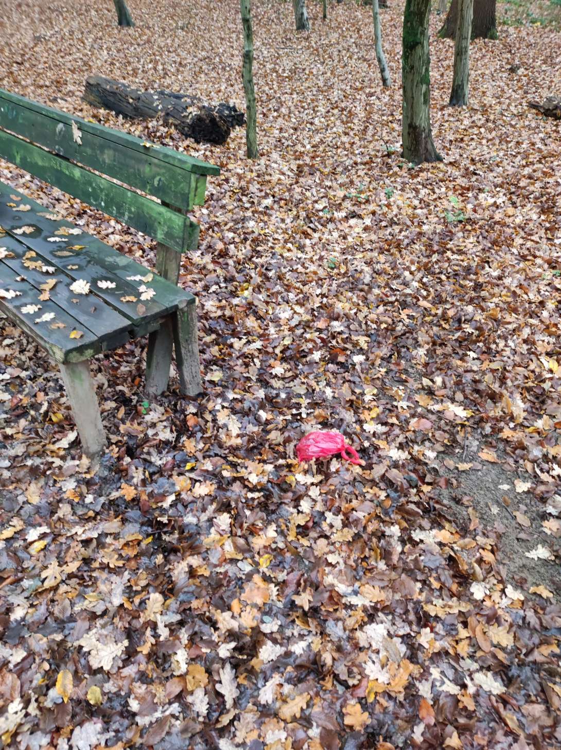 Bild zu gemeldetem Anliegen vom *2025-11-16 15:04:52