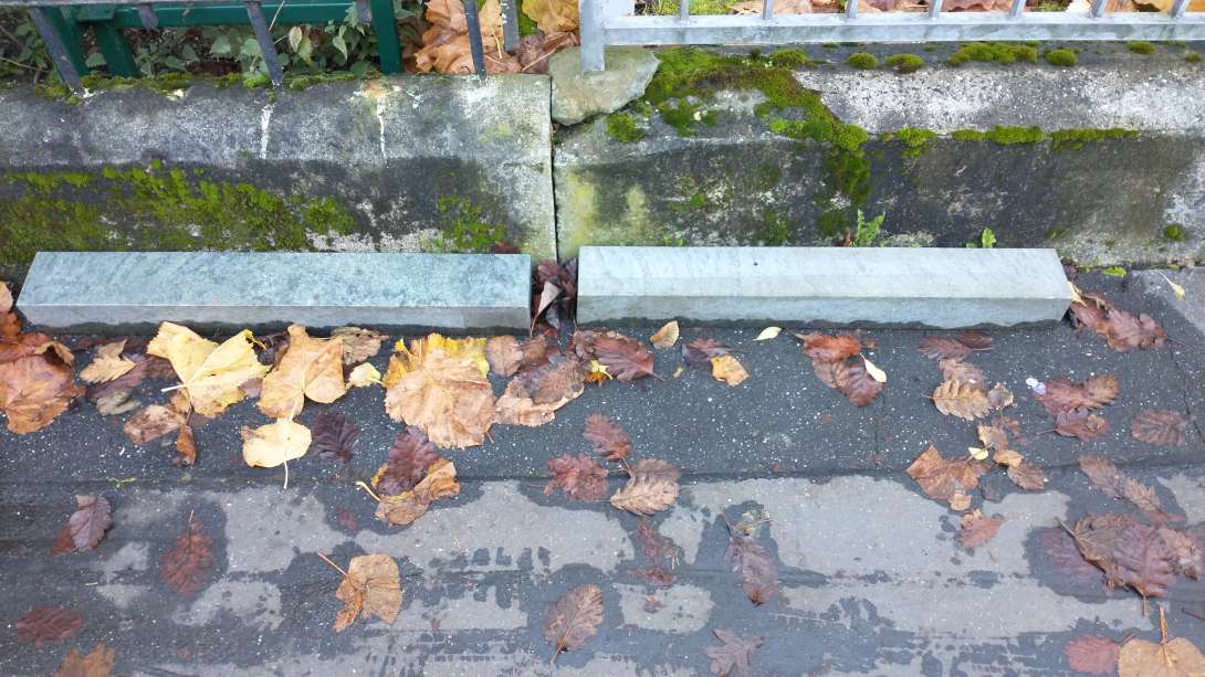 Bild zu gemeldetem Anliegen vom *2025-11-21 08:35:16