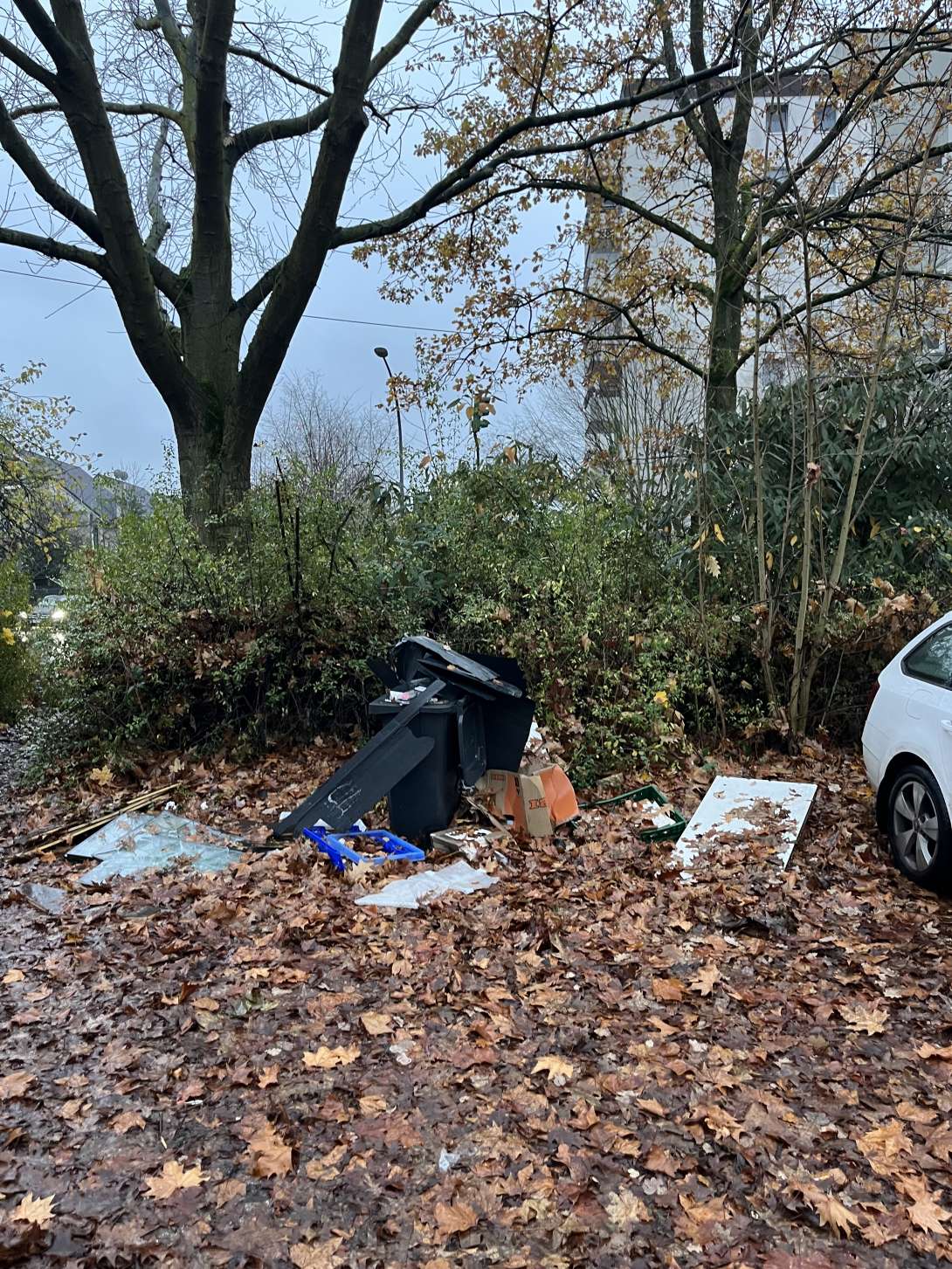 Bild zu gemeldetem Anliegen vom *2025-11-17 14:27:13