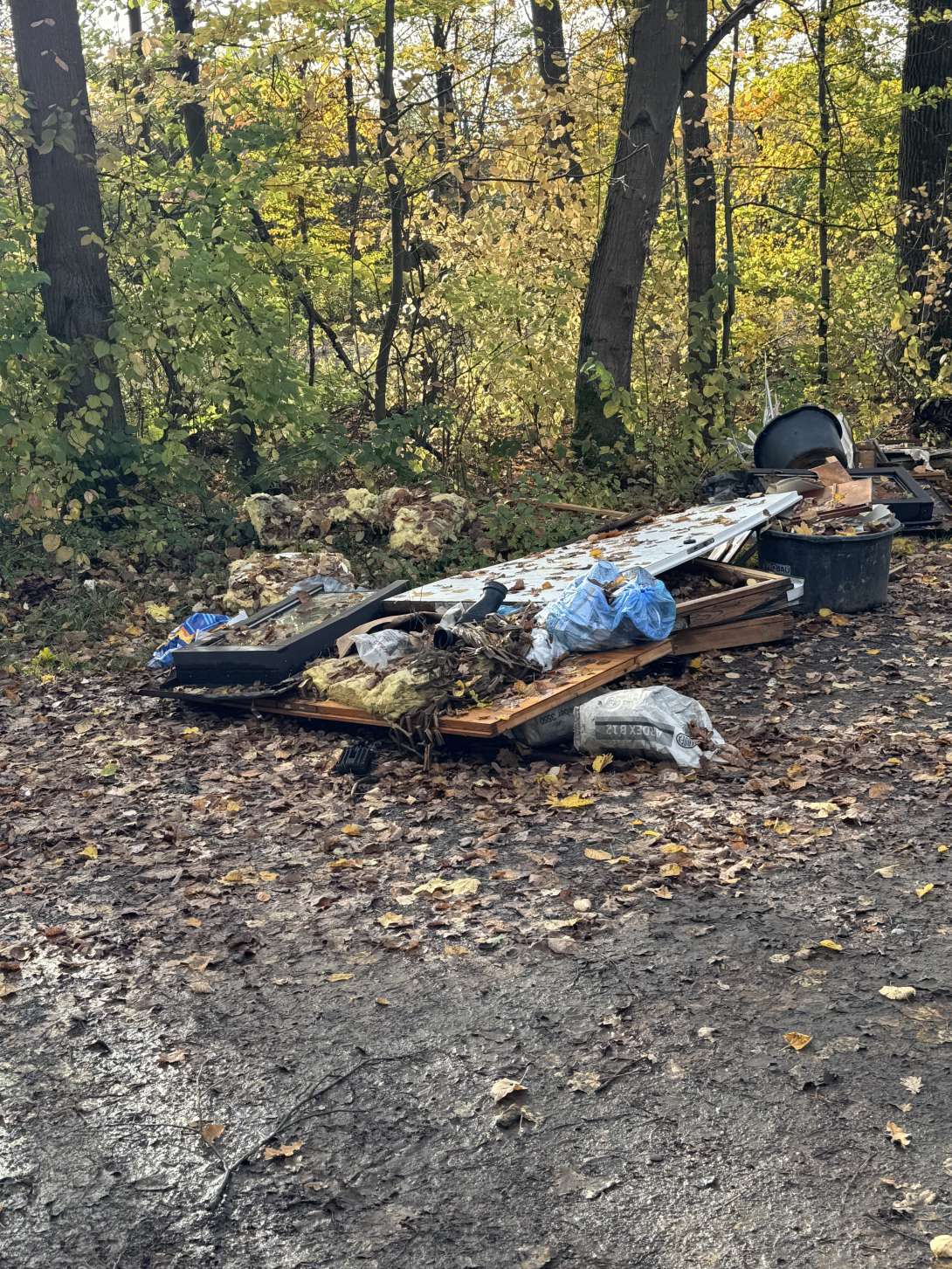 Bild zu gemeldetem Anliegen vom *2025-11-03 13:59:53