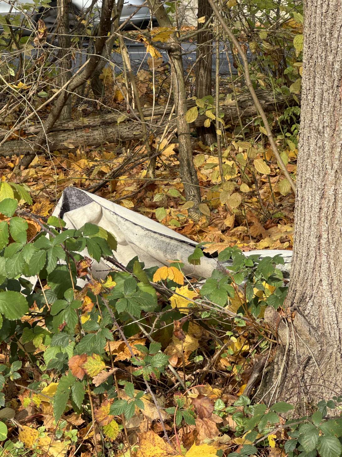 Bild zu gemeldetem Anliegen vom *2025-11-03 14:06:49